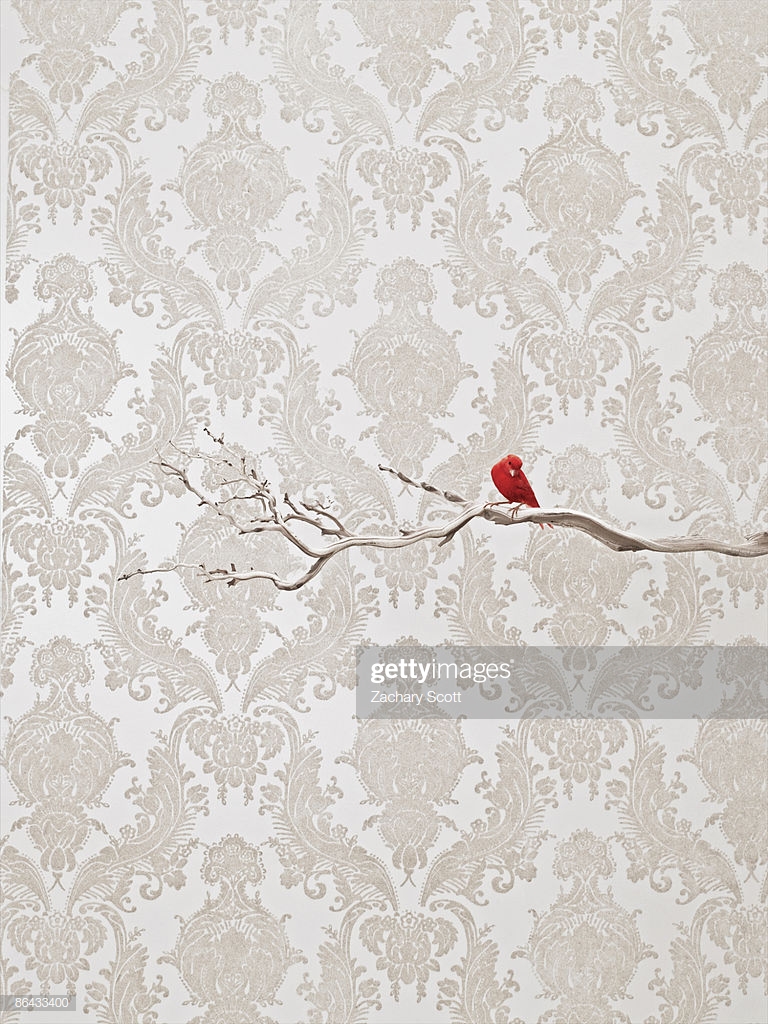 Red Bird On Branch Against Flocked Wallpaper Stock Photo Getty