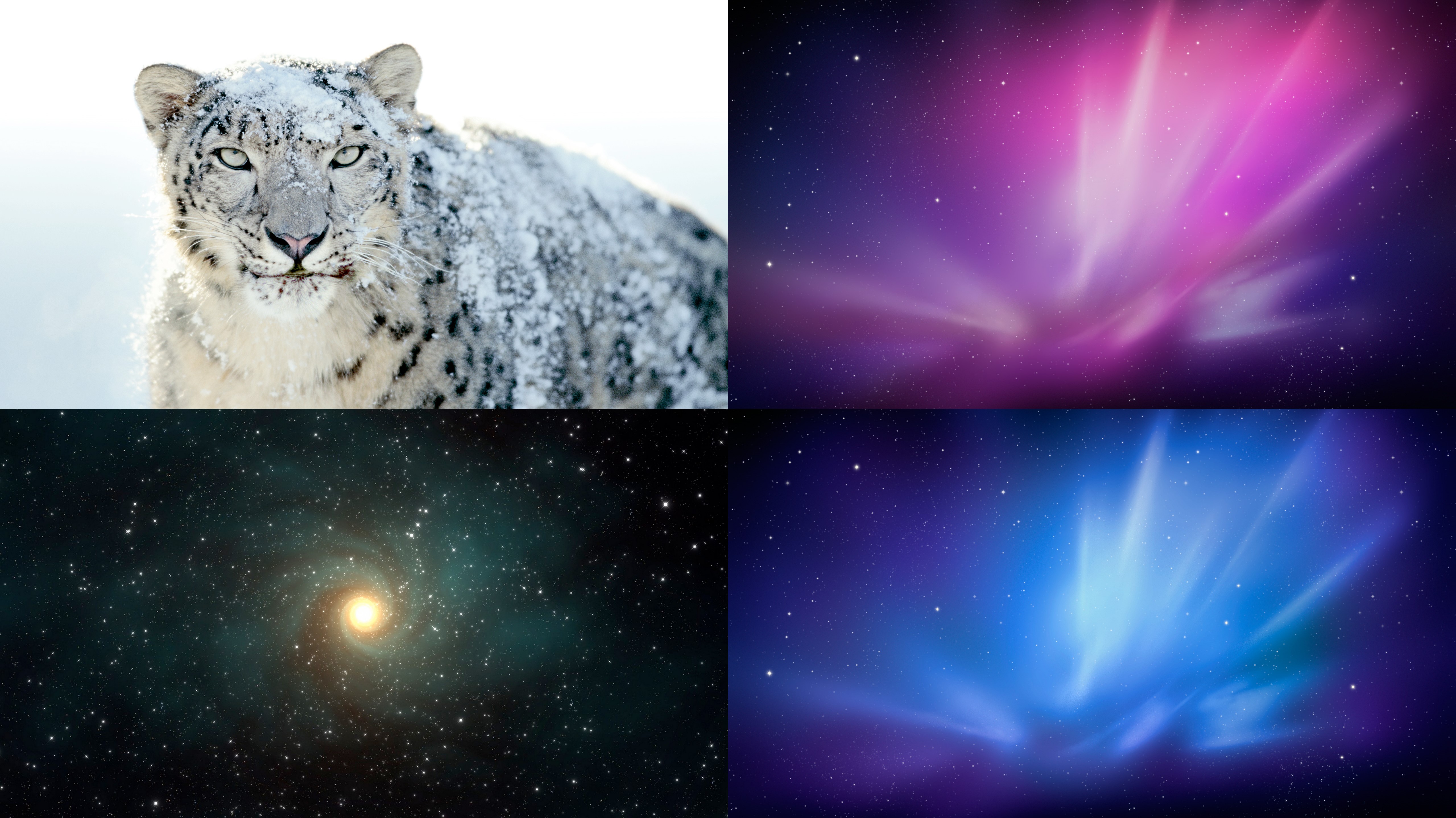 Mac Wallpaper Snow Leopard Pack By