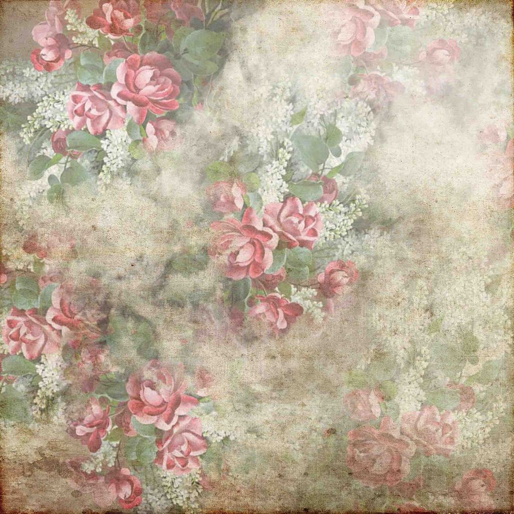 free-download-moldy-red-rose-wallpaper-backdrop-for-photography