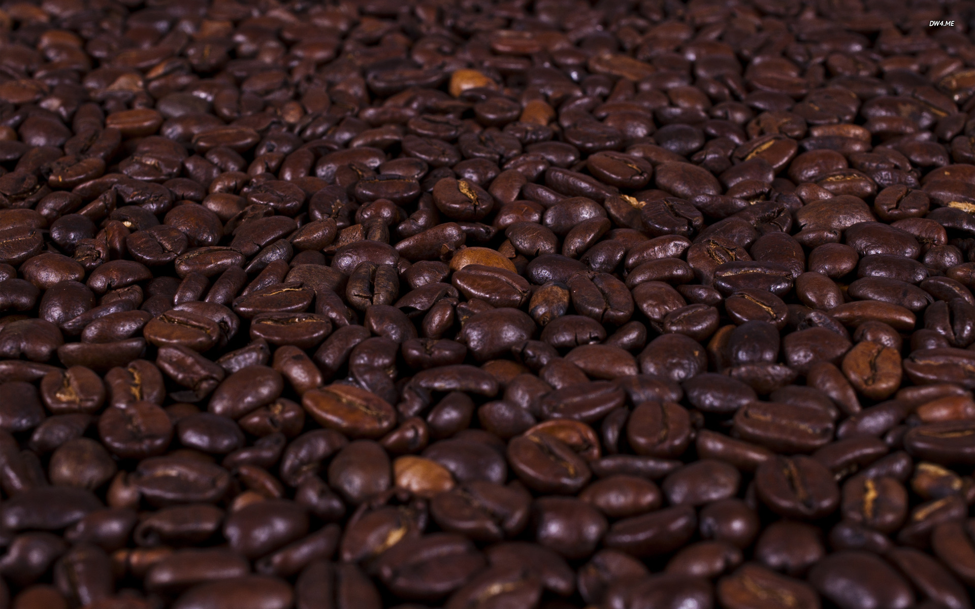 Coffee beans wallpaper   Photography wallpapers   58