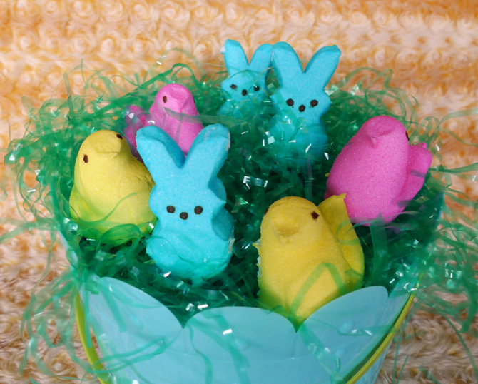 Easter Peeps Funny Pictures Your Place To Know More About World News
