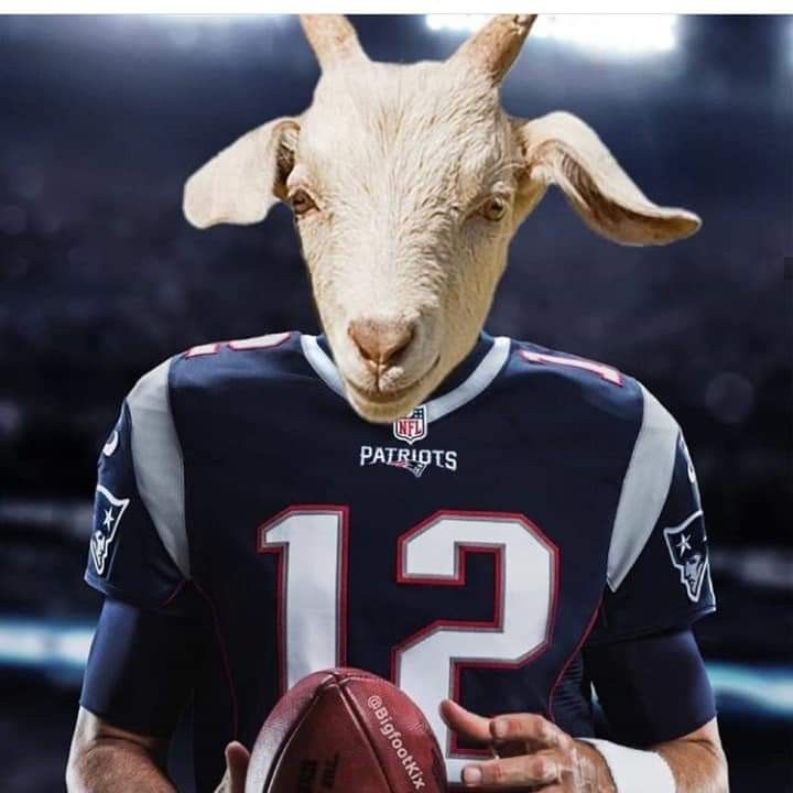 Tom Brady Goat Wallpaper