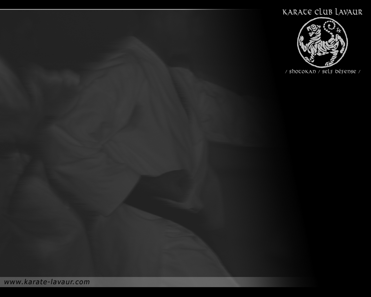 Shotokan Wallpaper Download Pictures