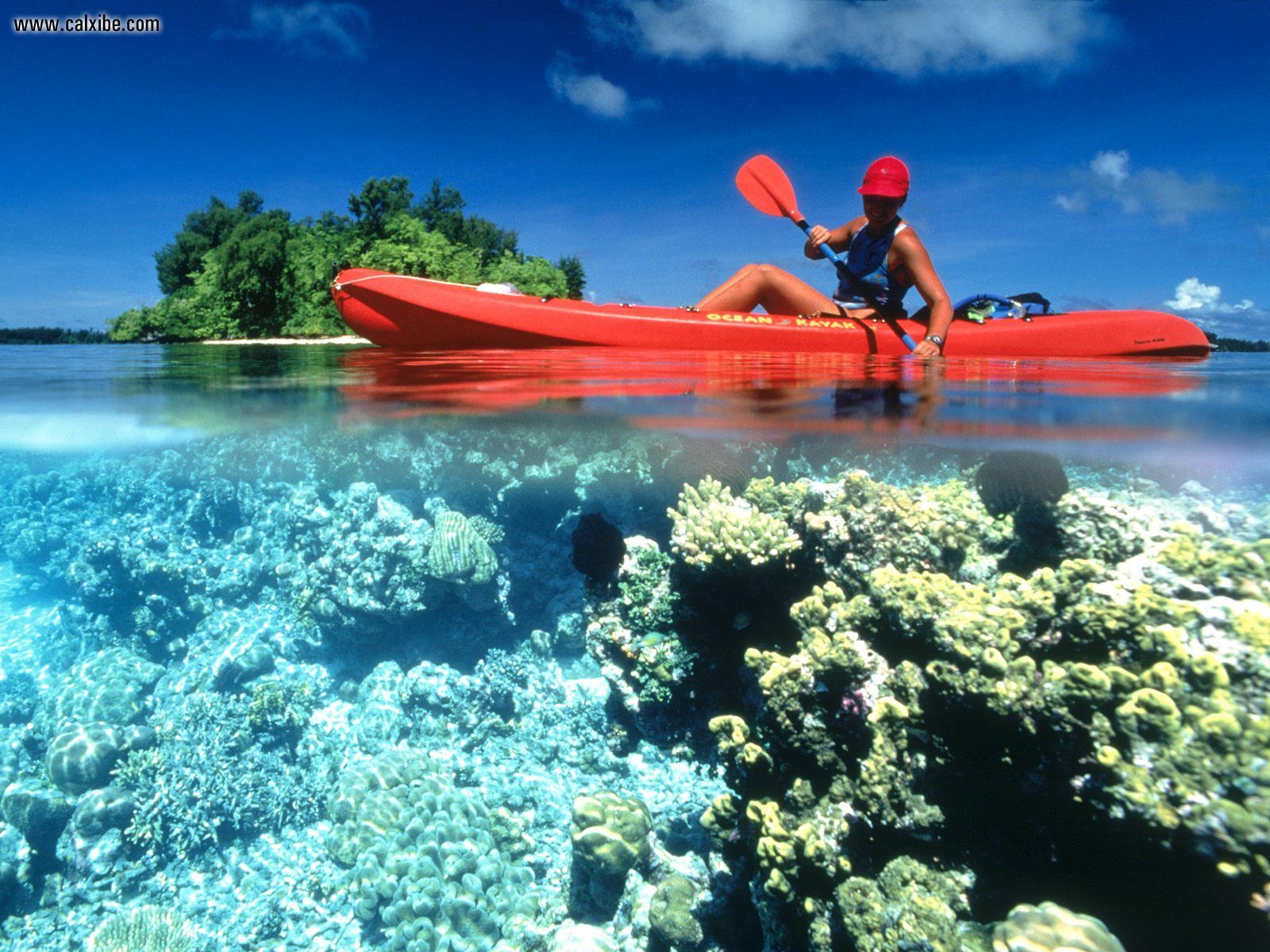 Sport Kayaking In Calm Clear Water Kennedy Island Solomon Islands