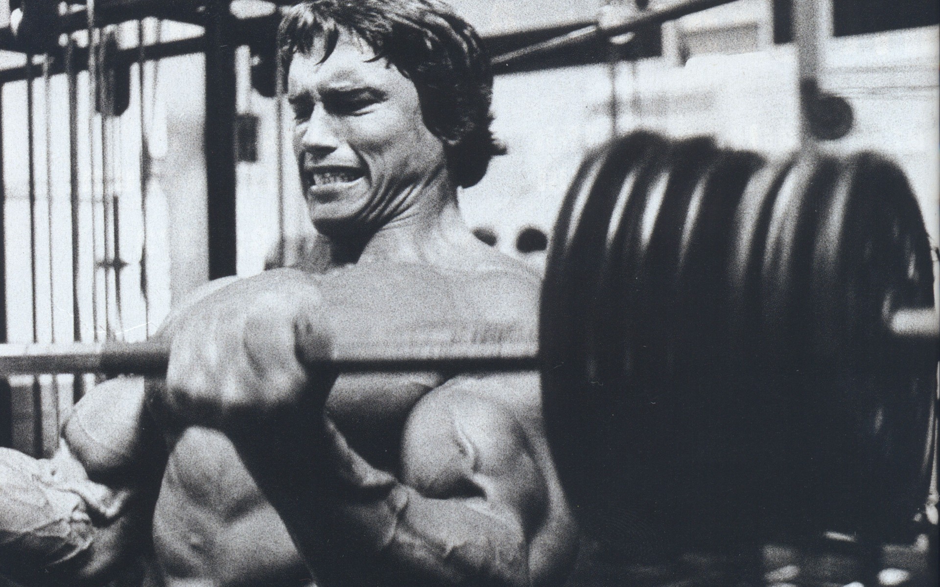 Arnold Schwarzenegger Wallpaper Actor Young Kachek Bodybuilding HD