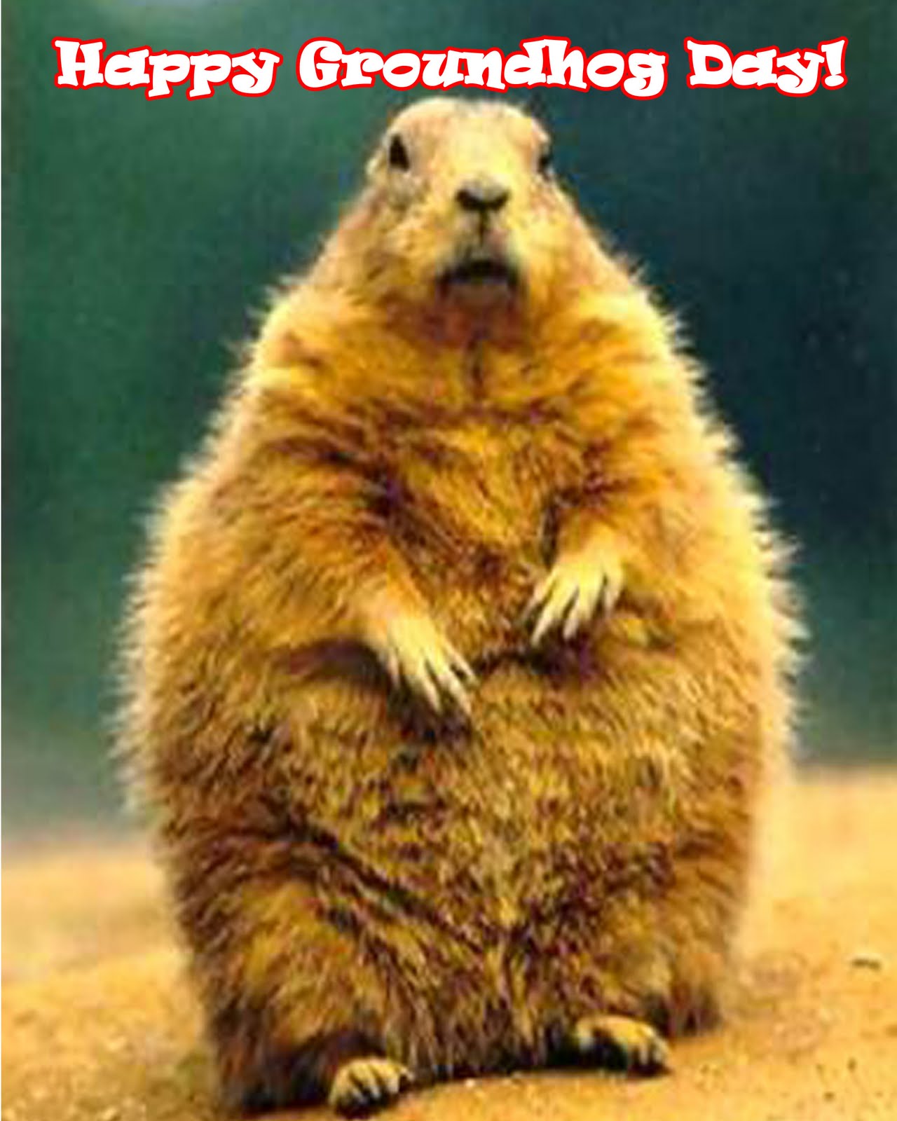 Go Back Pix For Happy Groundhog Day