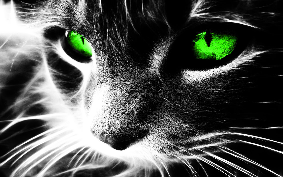 Cat Neon Eyes Ps Cs5 By Waldt