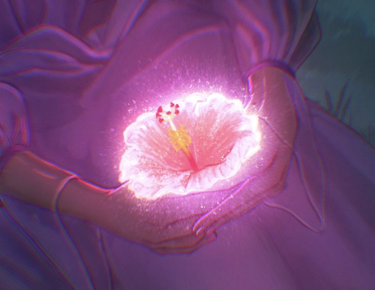 Hibiscus In Wallpaper