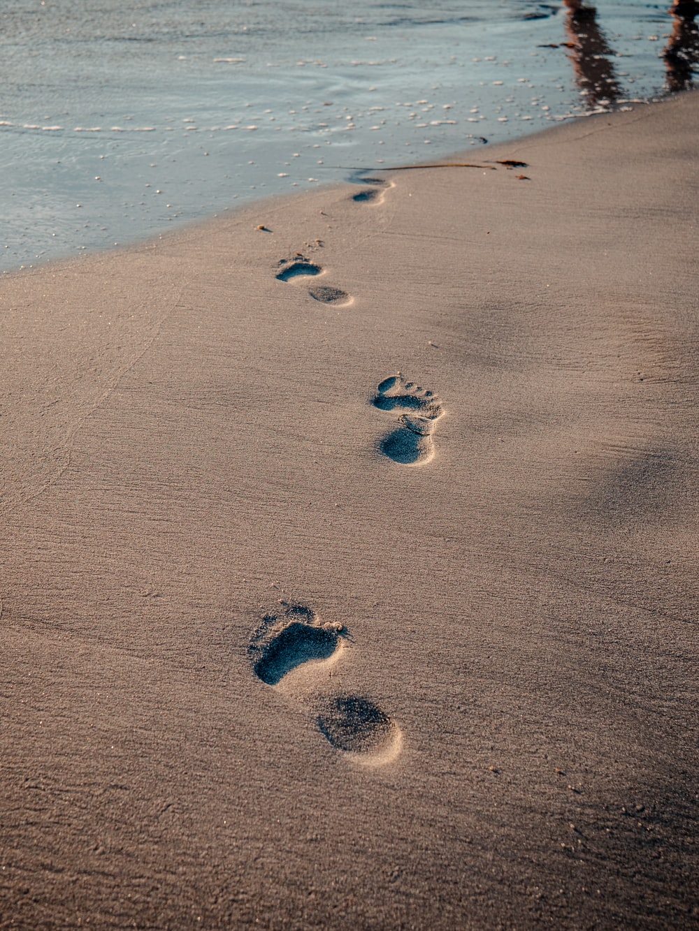 Beach Footprints Pictures Download Free Images on