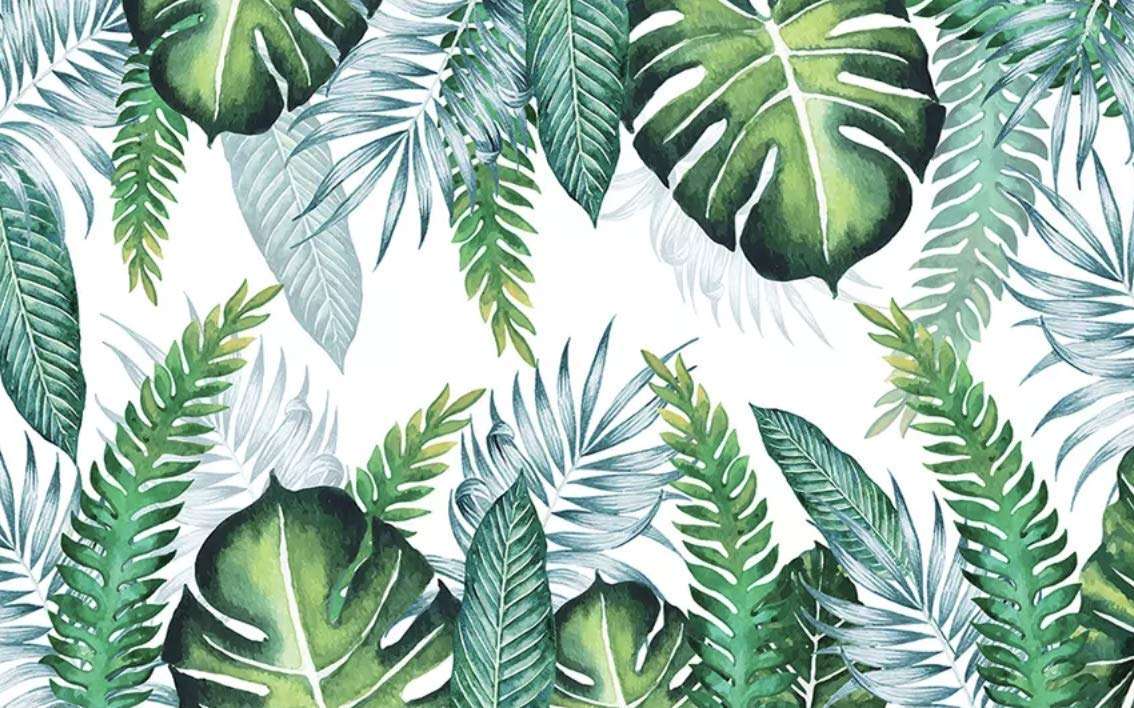 Tropical Plants Desktop Wallpaper