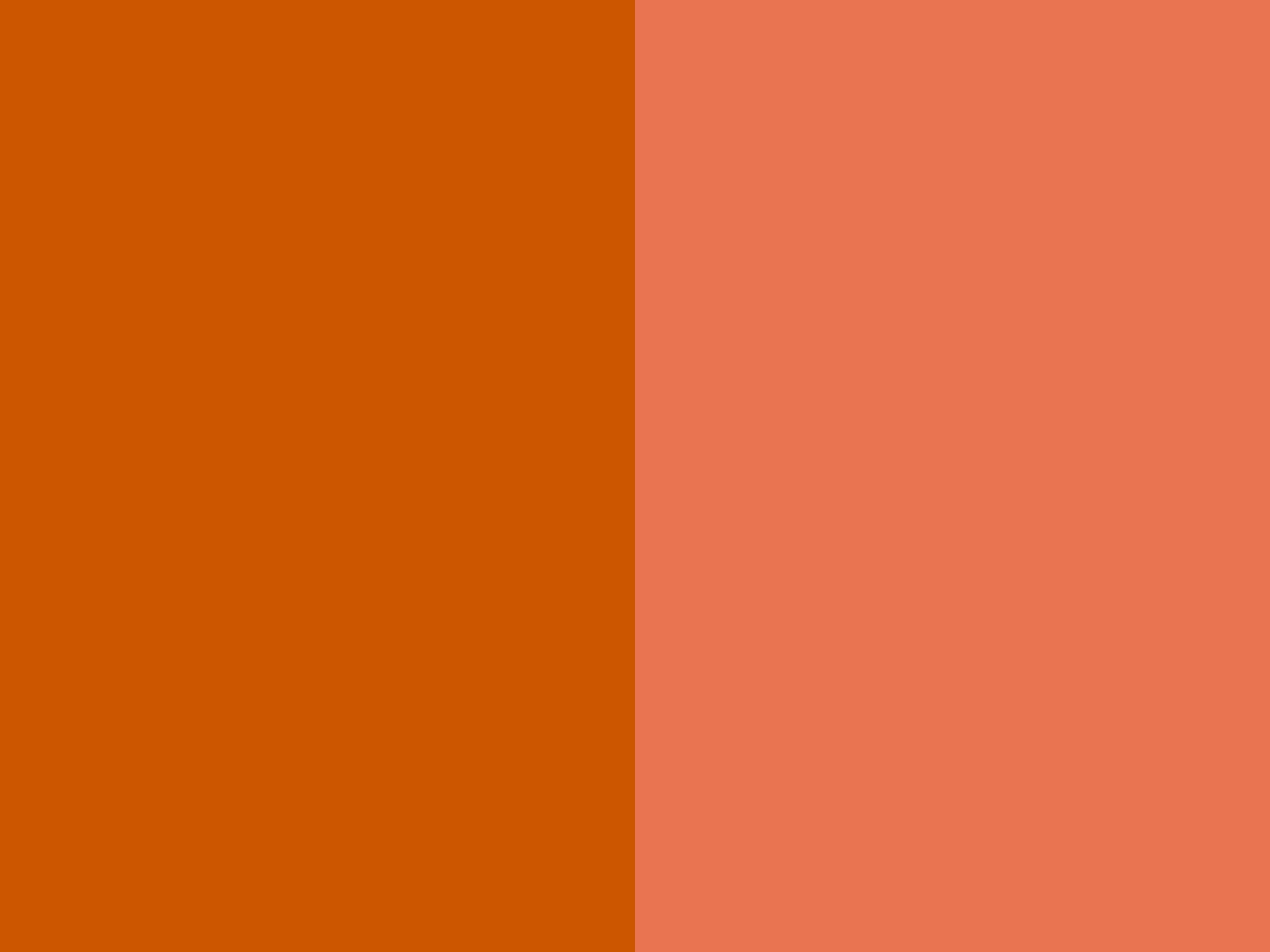 resolution Burnt Orange and Burnt Sienna solid two color background 1600x1200