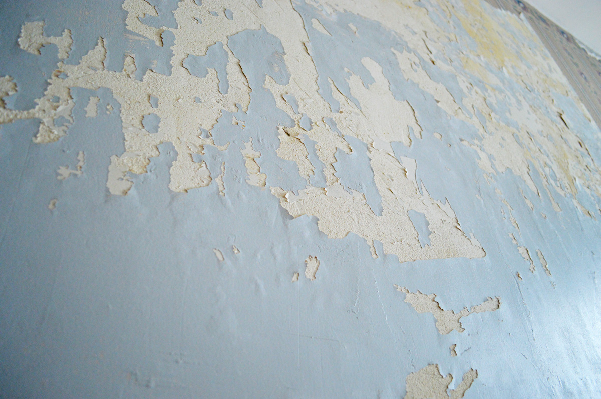 Co Wallpaper On Old Plaster Walls Steamer Peeling Paint