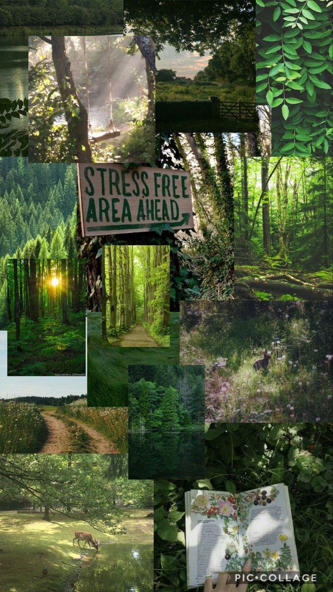 Wallpaper Green Nature Collage