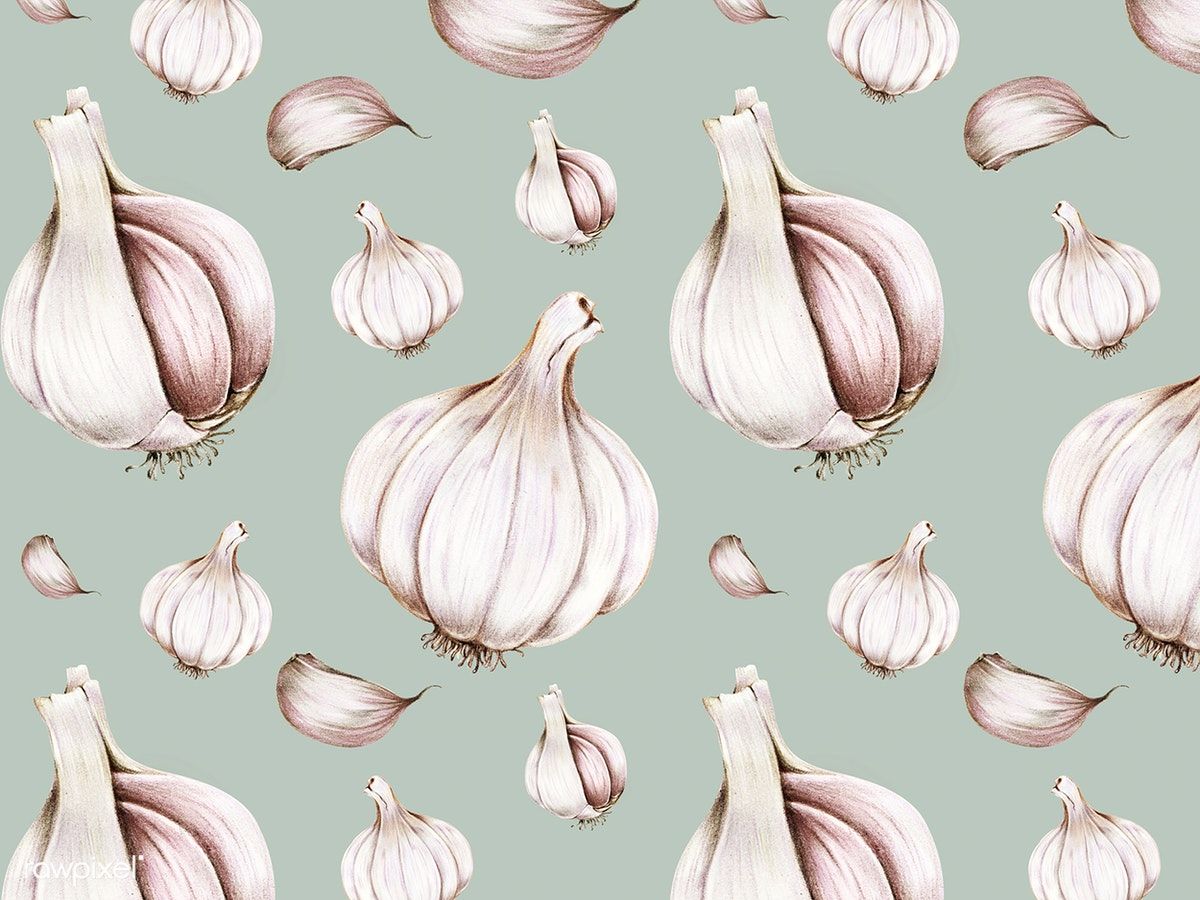 Hand Drawn Watercolor Of Garlic Image By Rawpixel