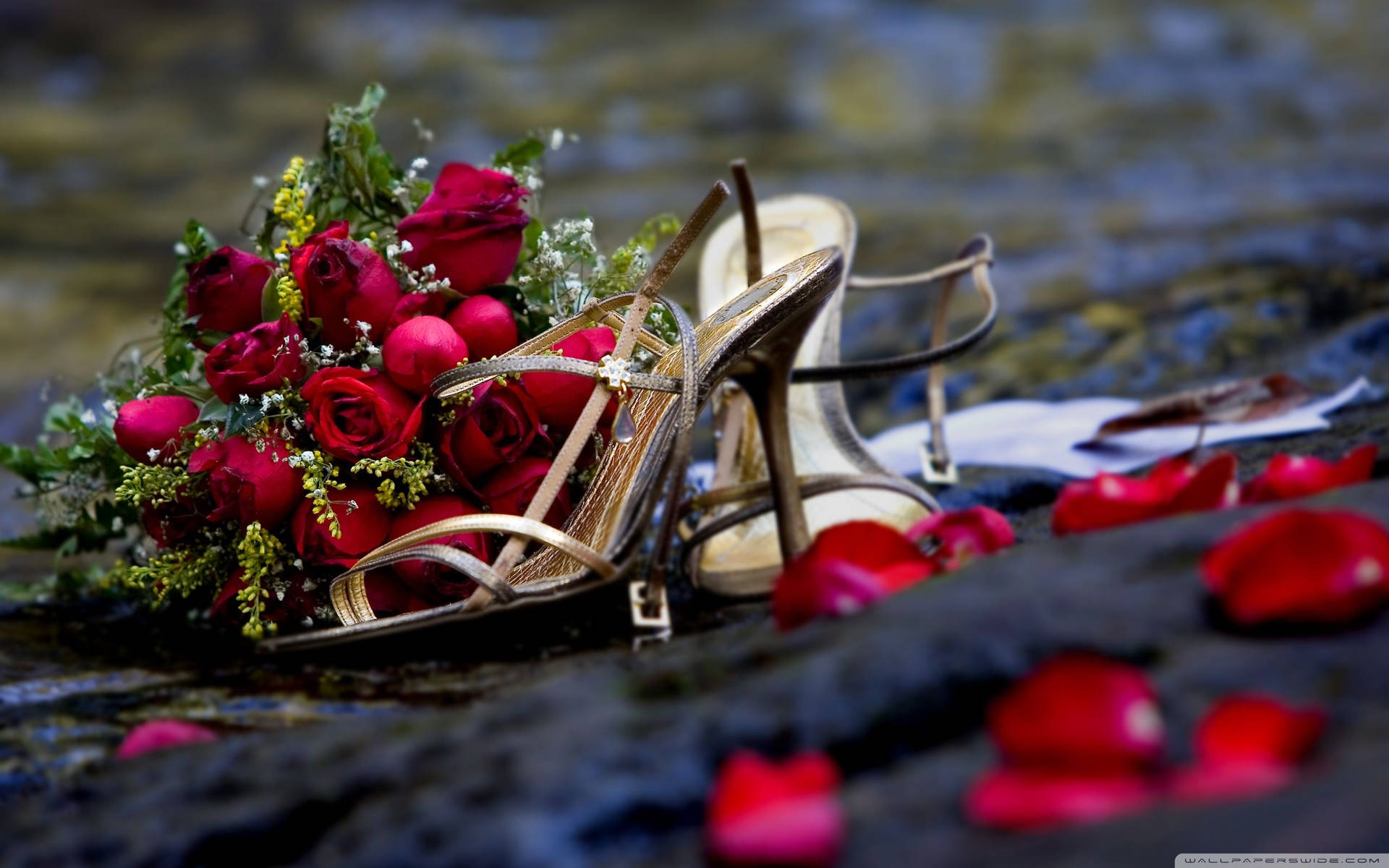 Wedding Aesthetic Wallpaper