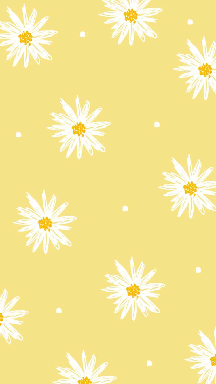 Cute Pastel Yellow Daisy Flower Wallpaper
