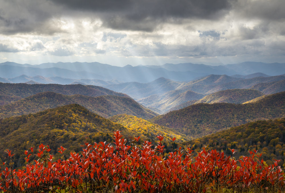 Top Reasons To Spend Fall In The Smoky Mountains