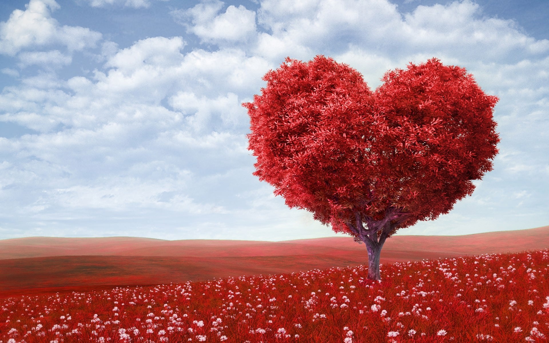 Red Field And Red Tree Heart Shaped Hd Wallpaper Wallpaper List