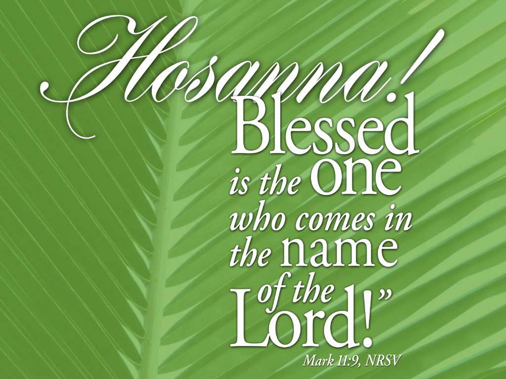 Palm Sunday Pictures Image And Wallpaper