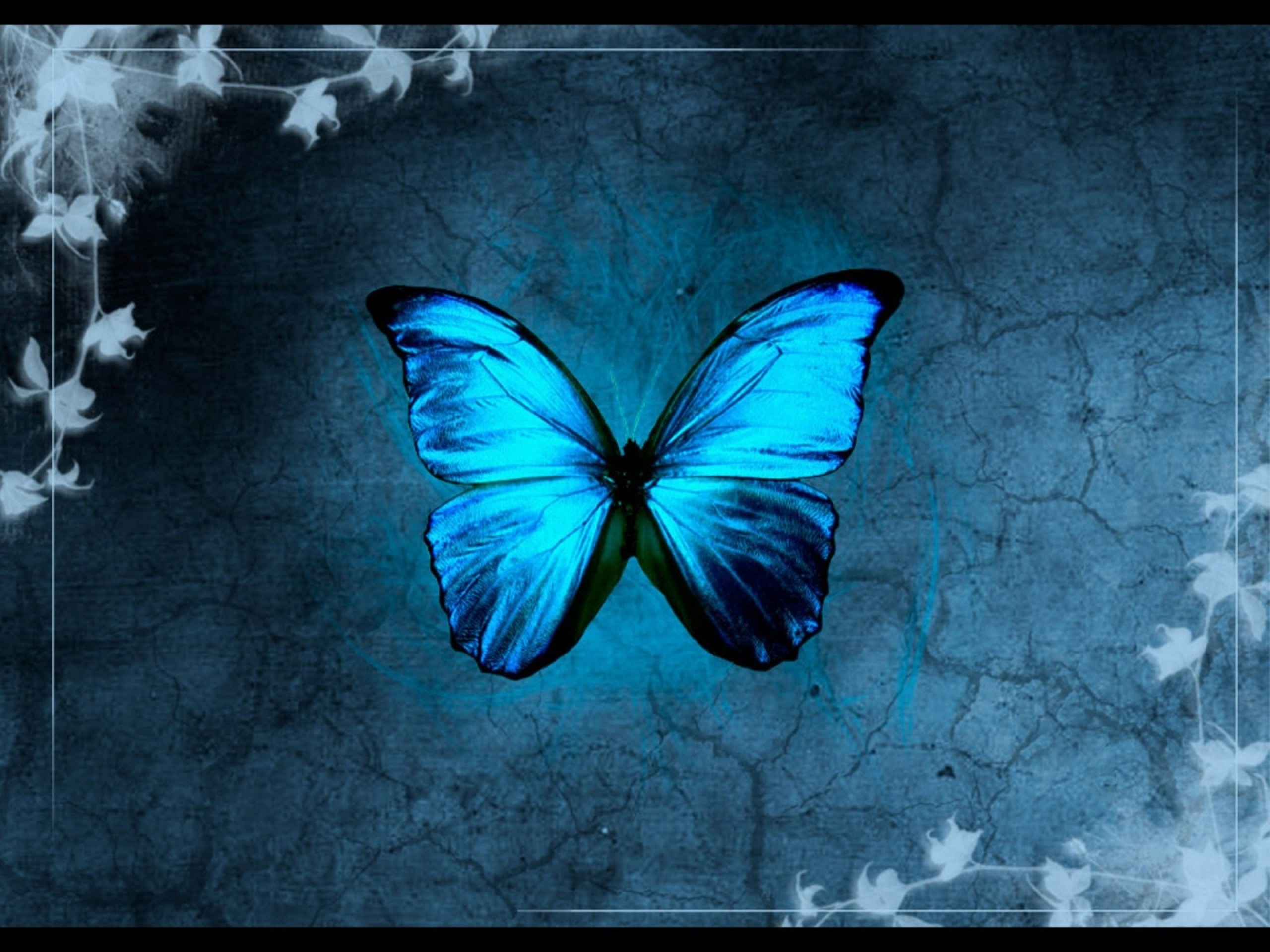 A vibrant blue butterfly with spread wings against a dark, textured background, adorned with subtle floral accents