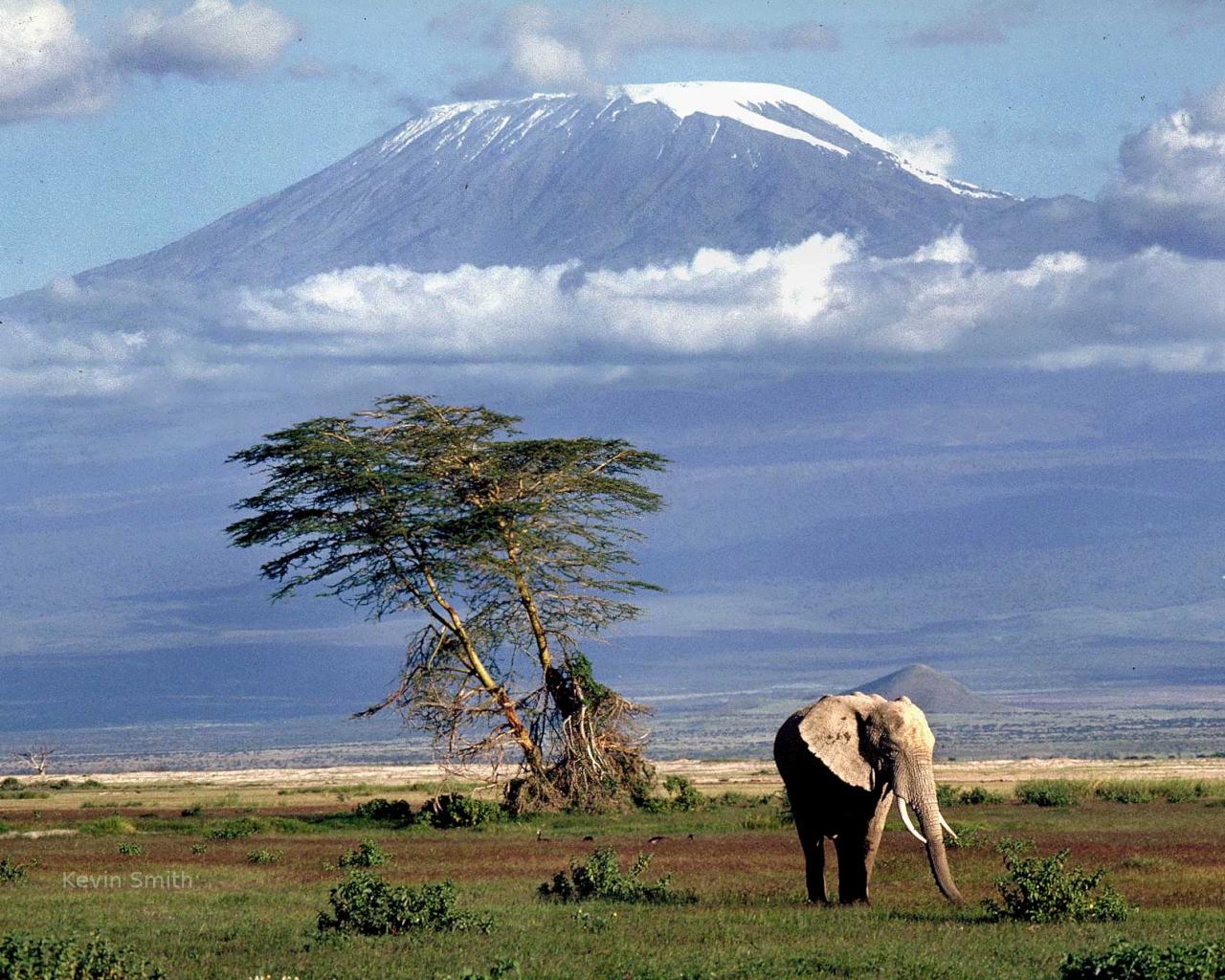 Mt Kilimanjaro HD Wallpaper In Nature Imageci