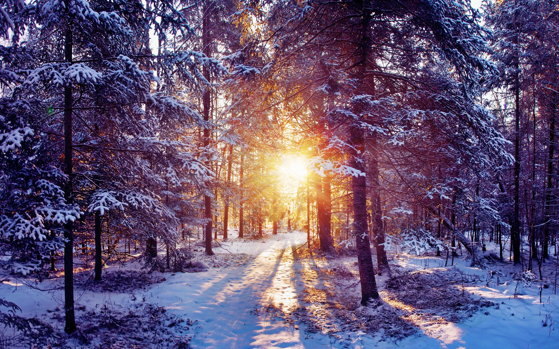 Winter Wallpaper And Other Nature Desktop Background