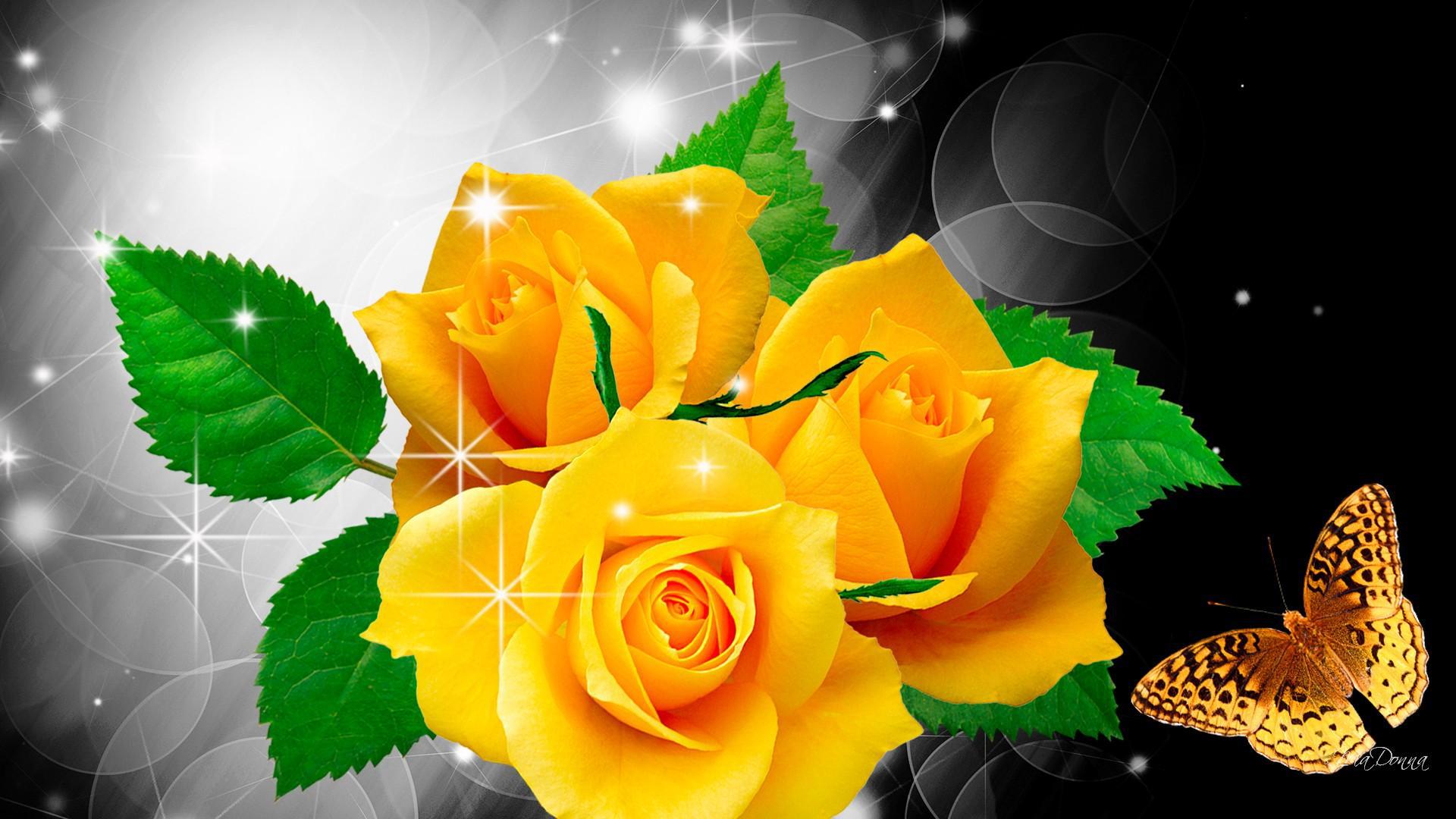 Yellow Roses And Butterfly Wallpaper Image
