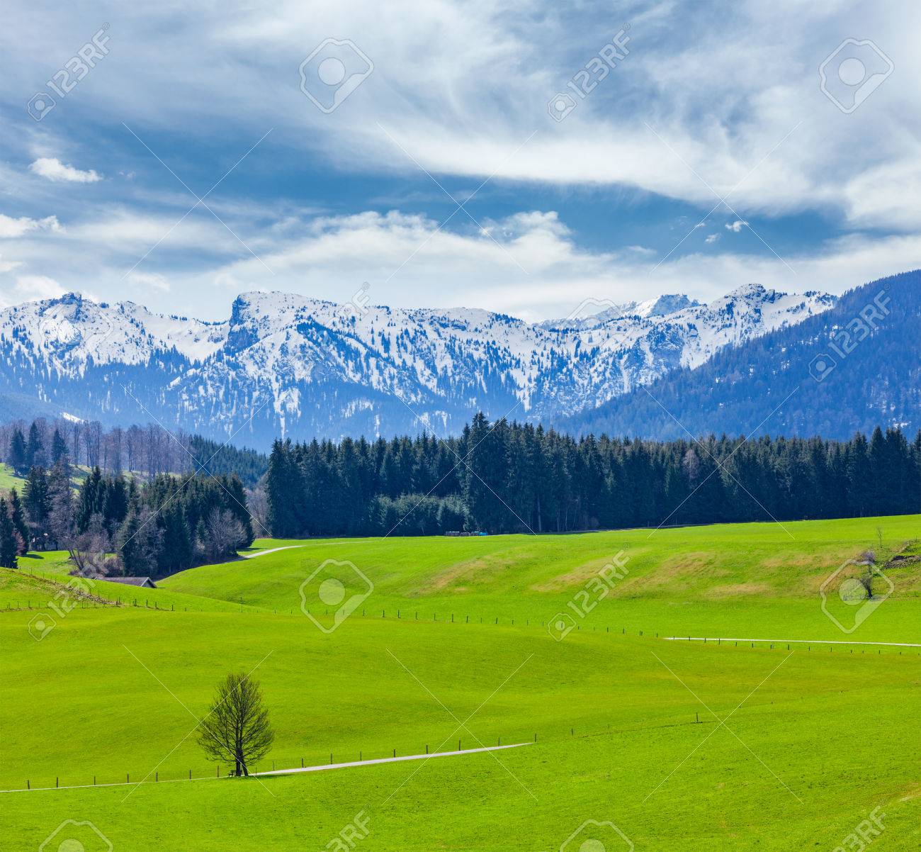 German Idyllic Pastoral Countryside In Spring With Alps