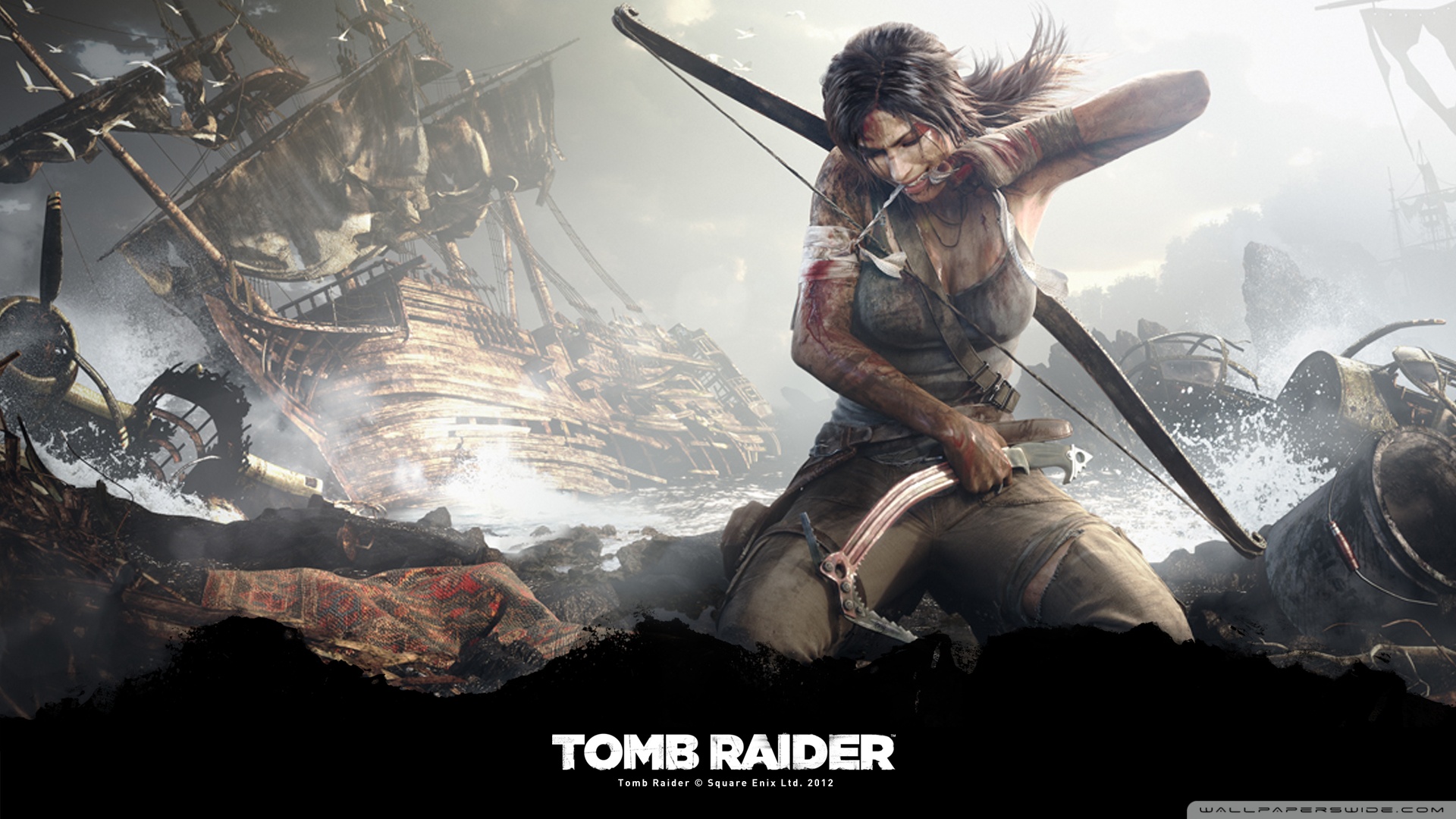 Tomb Raider Survivor Wallpaper