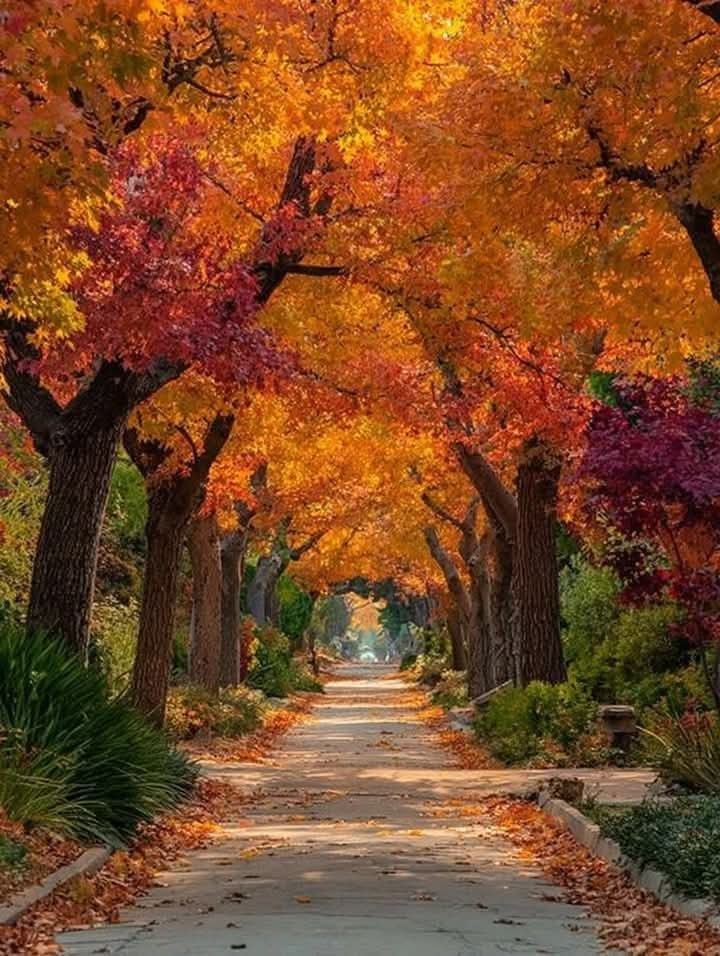 Monika Puskas On Autumn In Wallpaper