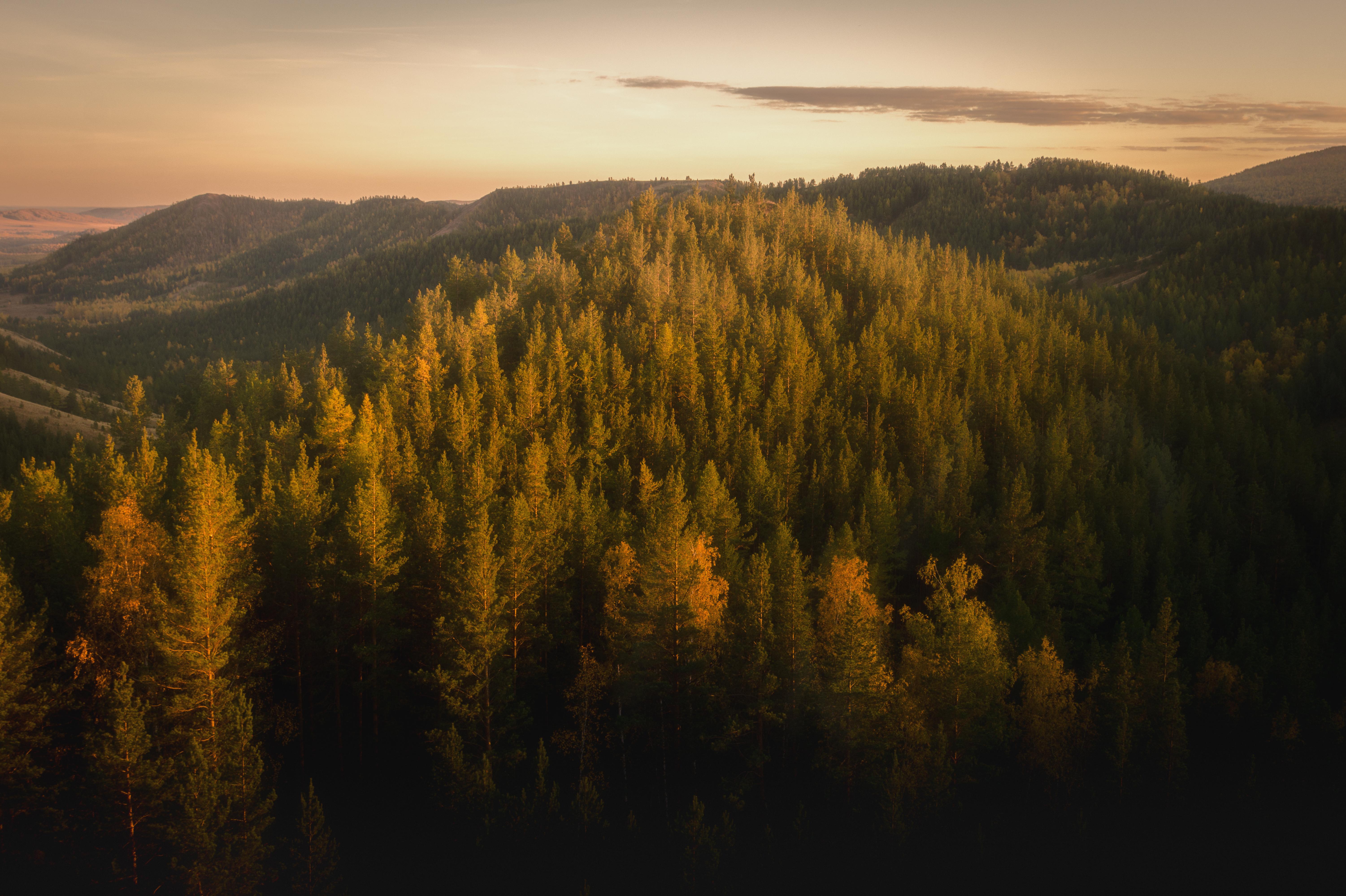 Aesthetic Picture Nature Wallpaper