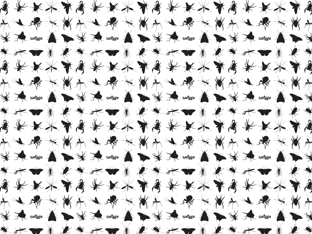 Bugs Smiggle Wallpaper