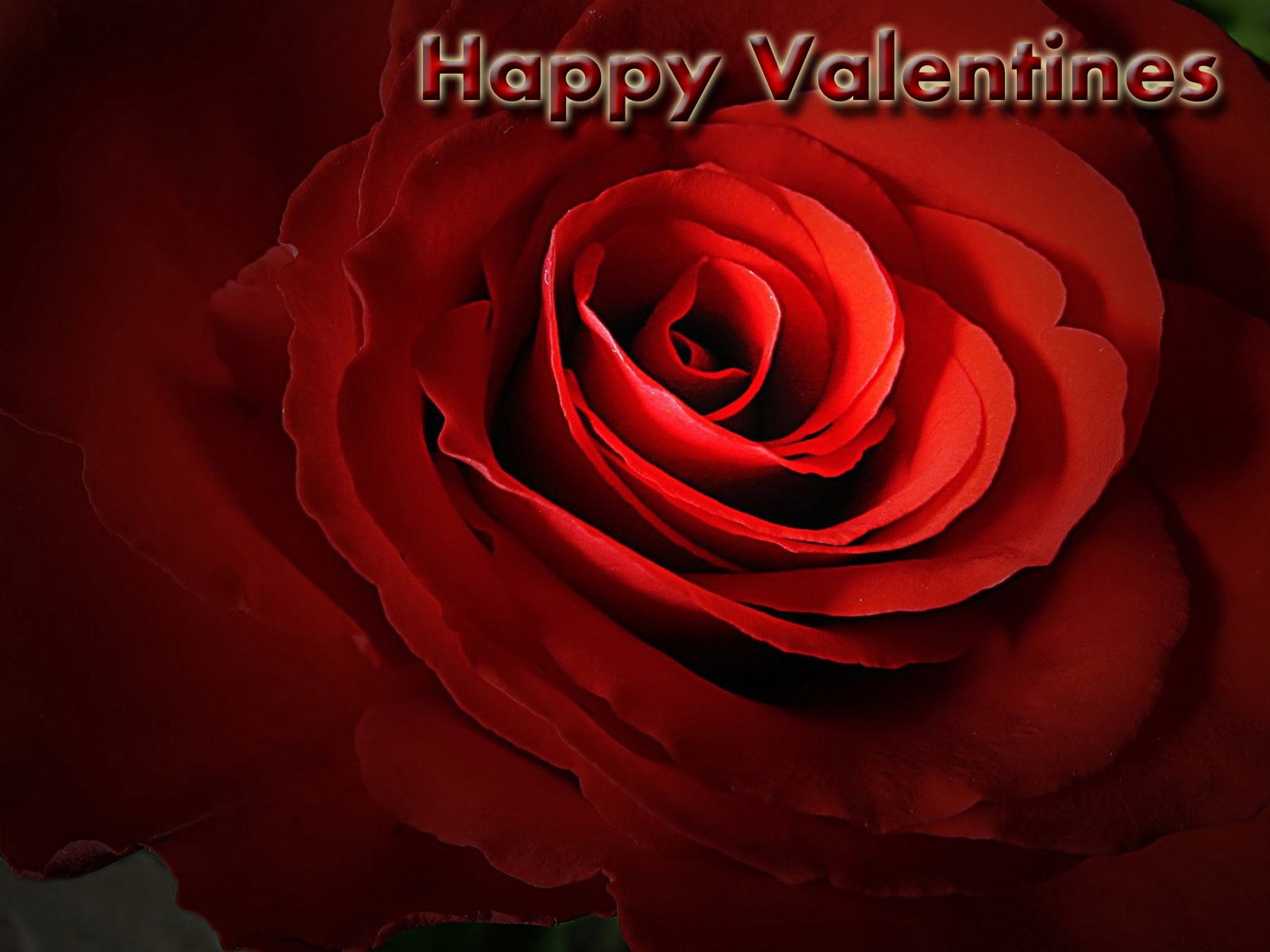 Amazing Valentines Day Wide High Definition Wallpaper For