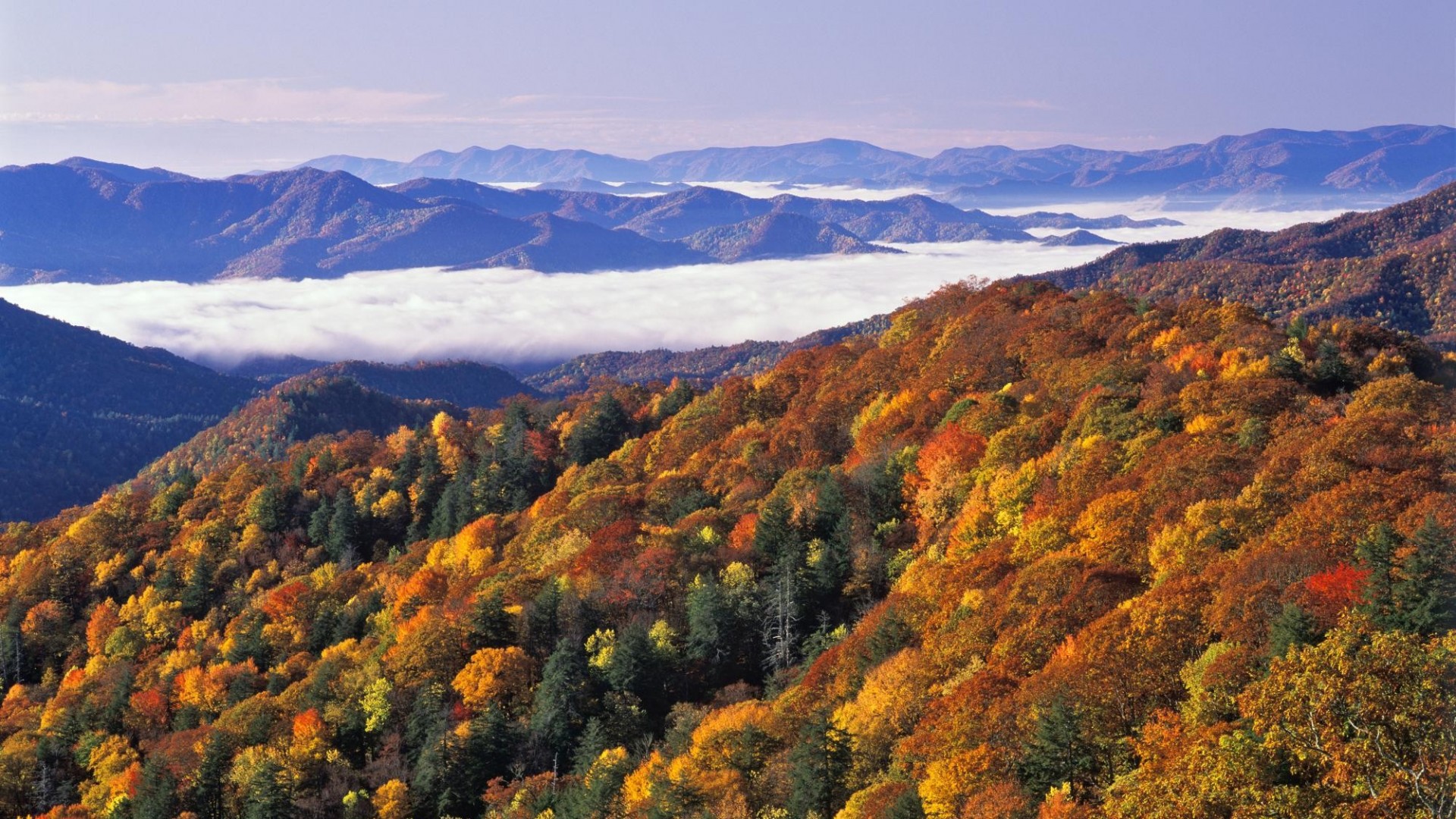 Carolina National Park Mountains Great Fog Smoky Wallpaper