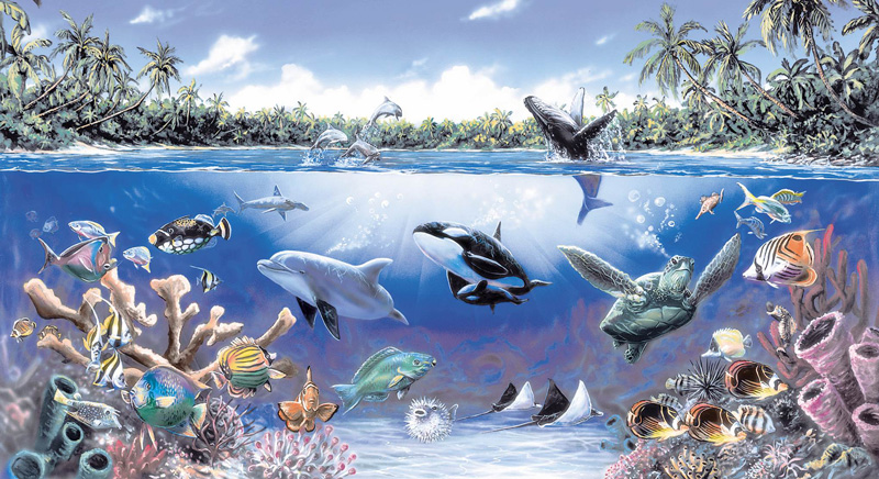 Of Peace And Calm Into Your Area Think About A Ocean Life Wall Mural