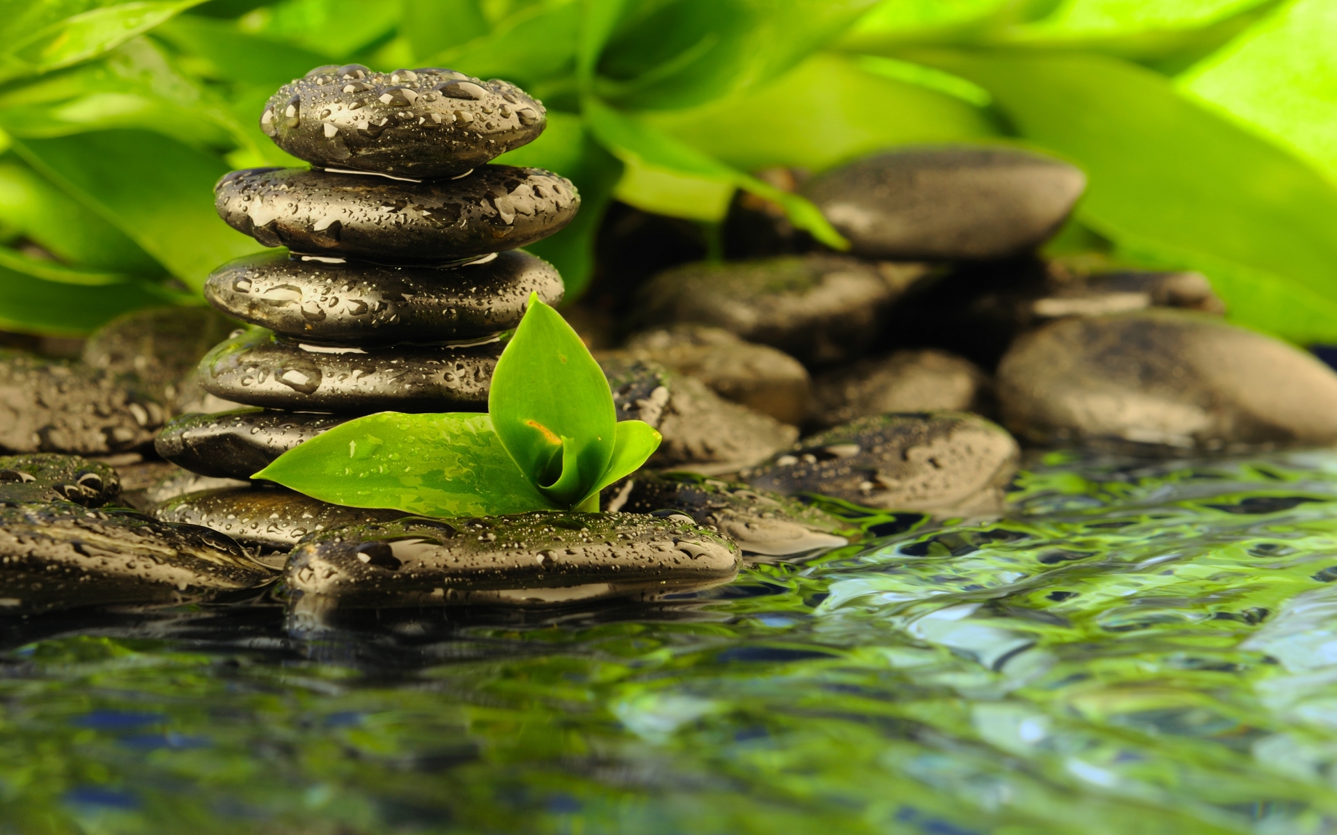 Zen Religion Peace Solitude Water Reflection Rocks Drops Leaves