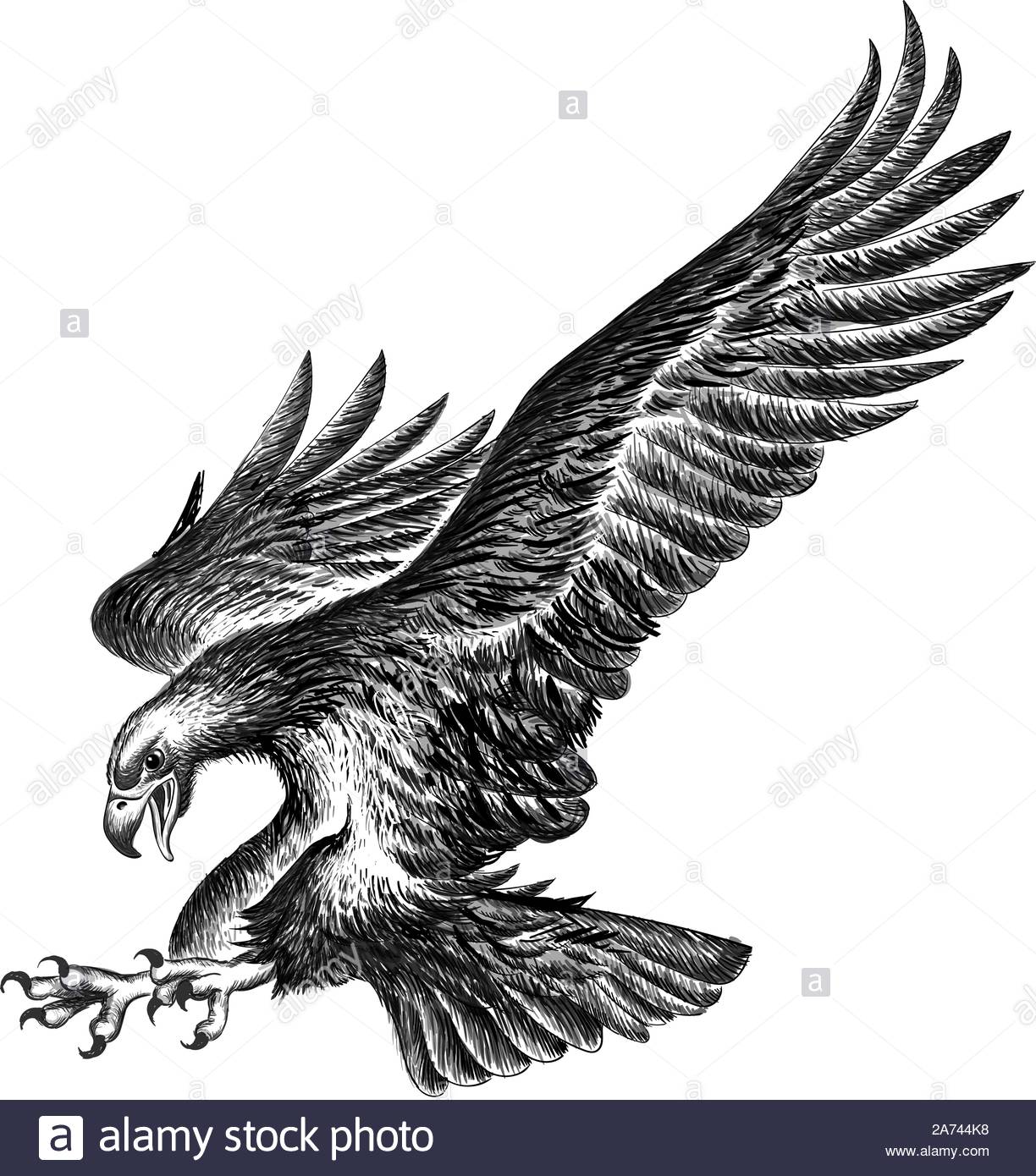 The Vector Logo Eagle For Tattoo Or T Shirt Design Outwear