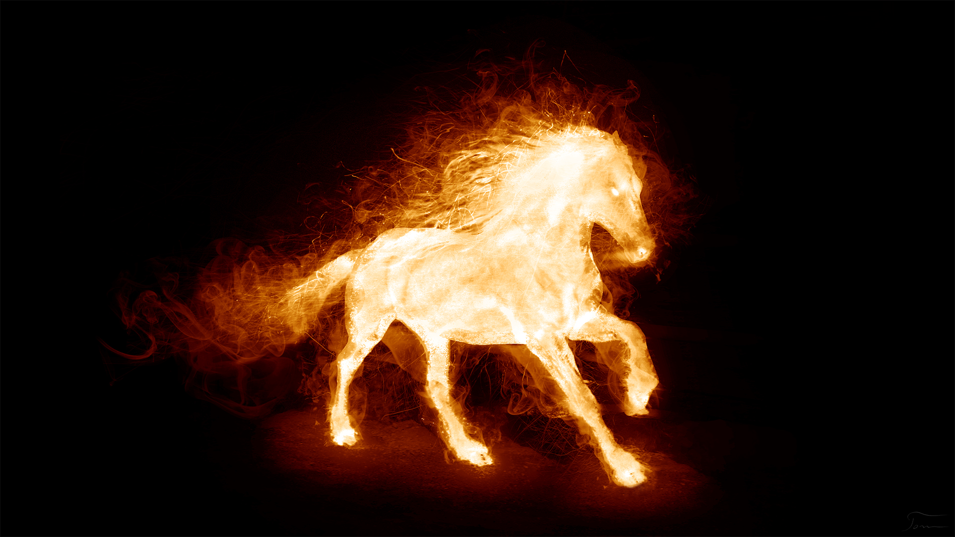 Fire Horse By Tomhotovy