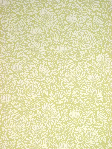Chrysanthemum Wallpaper Sage Ochre