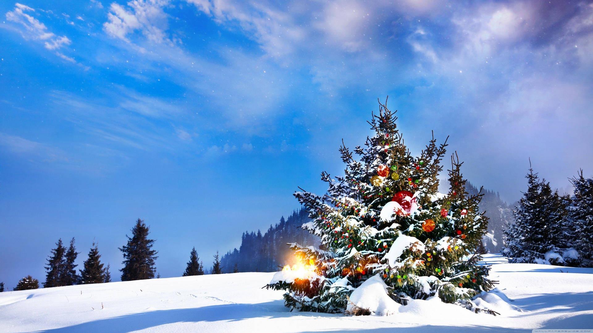 Captivating 4k Ultra HD Christmas Tree In Snow Wallpaper