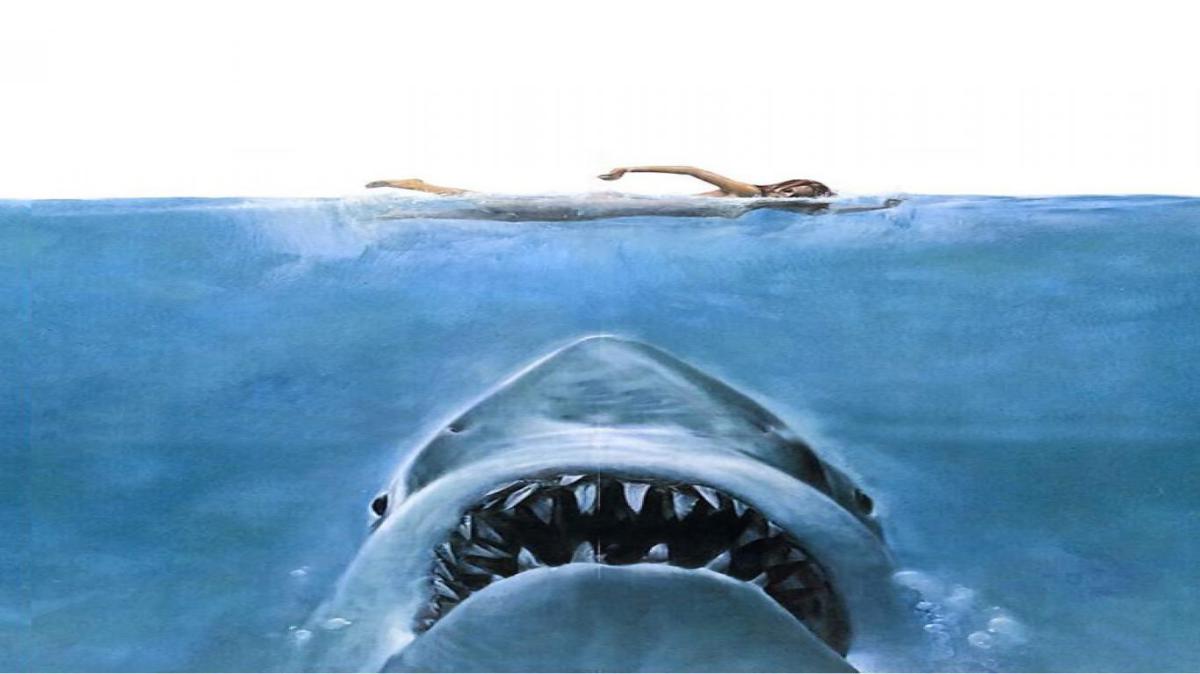 Widescreen Sharks Dangerous Shark Jaws Iphone Wallpaper 1200x674