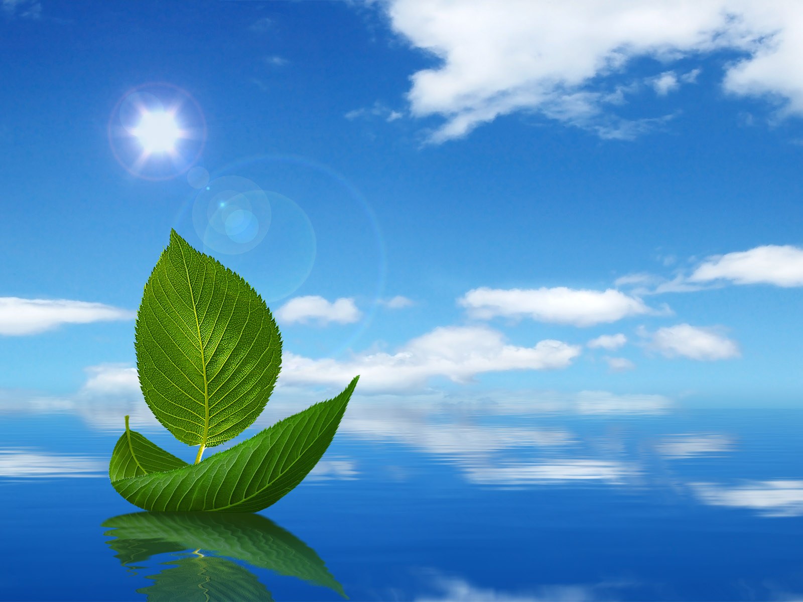 Windows Desktop Background