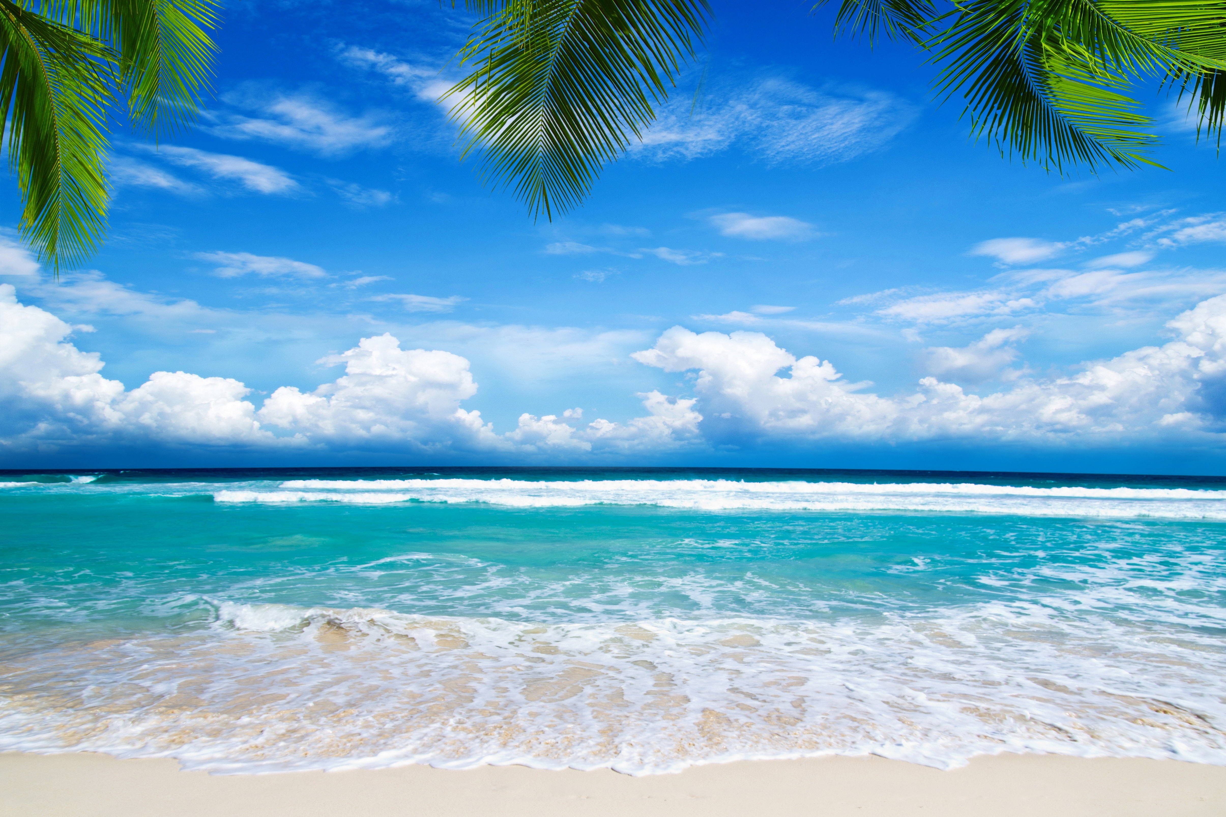 Tropical beach paradise with turquoise water, white sand, and palm trees under a blue sky