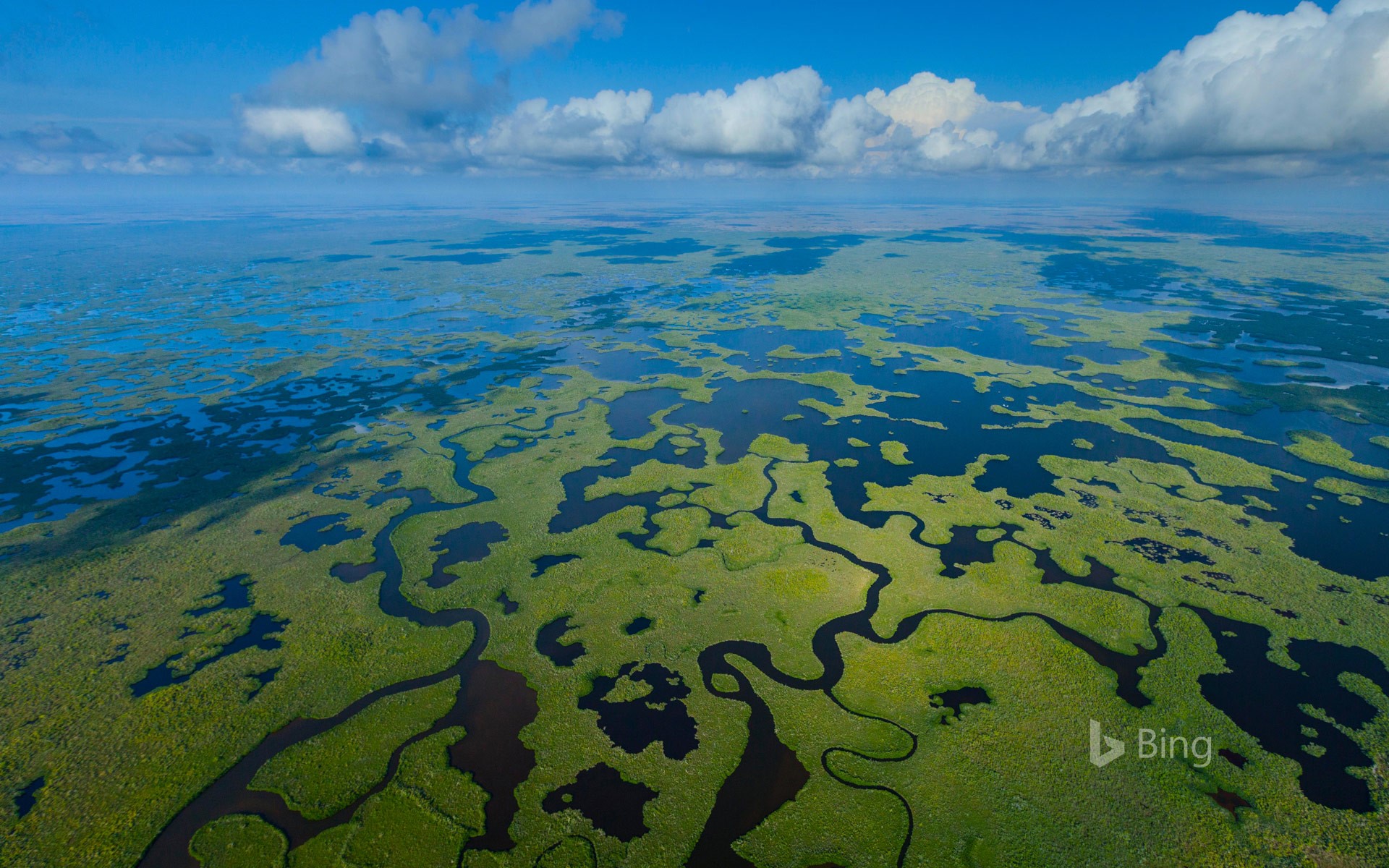 Aerial Of Everglades National Park In Florida Juan Carlos