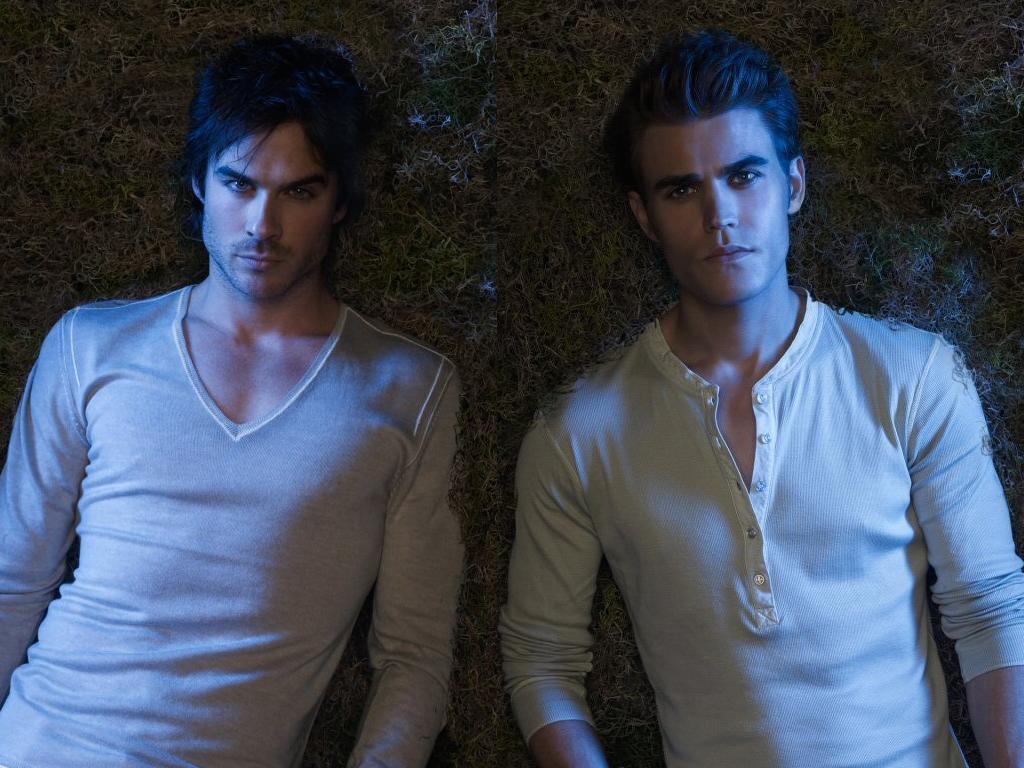 Damon and Stefan Salvatore images Brothers HD fond dcran