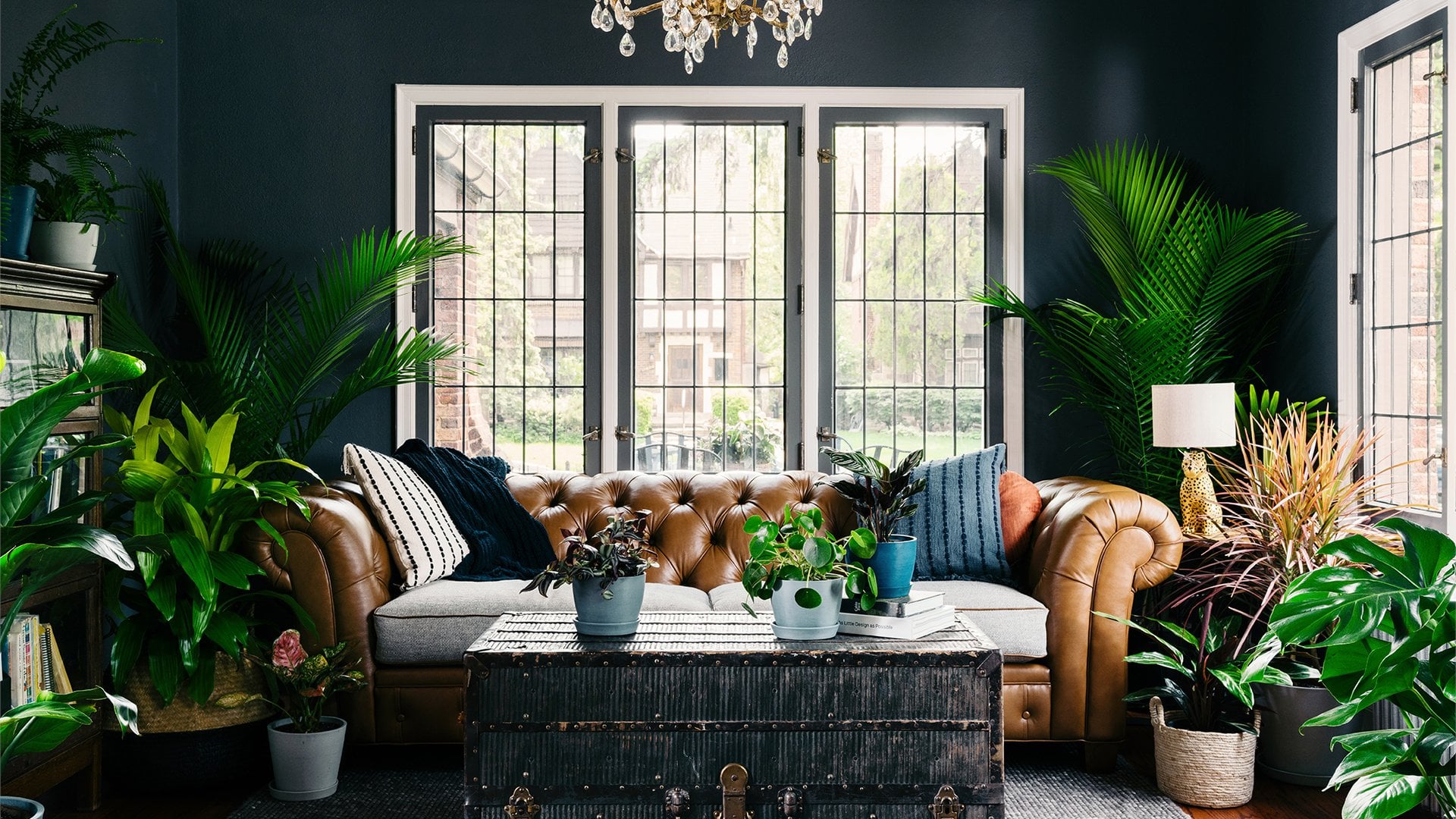 Plant Lover Living Room Zoom Background Transport Yourself To