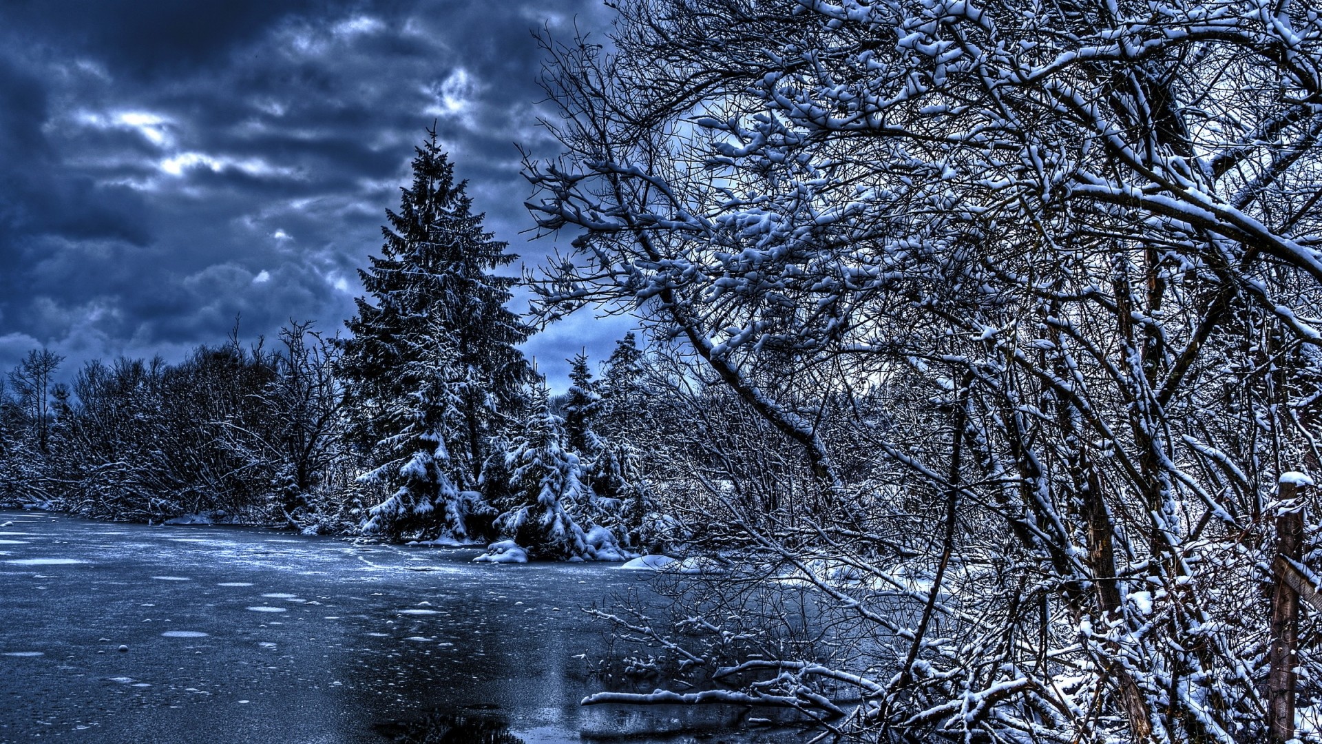 Snow Winter Wallpaper