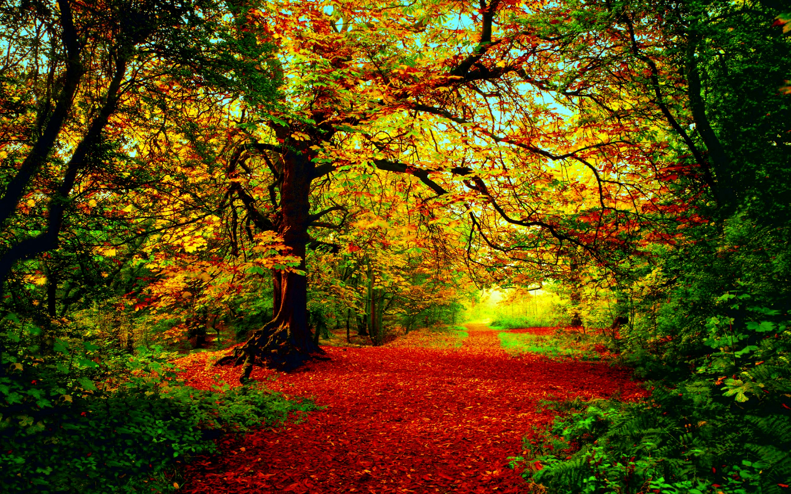 Most Beautiful Autumn Wallpaper HD MixHD