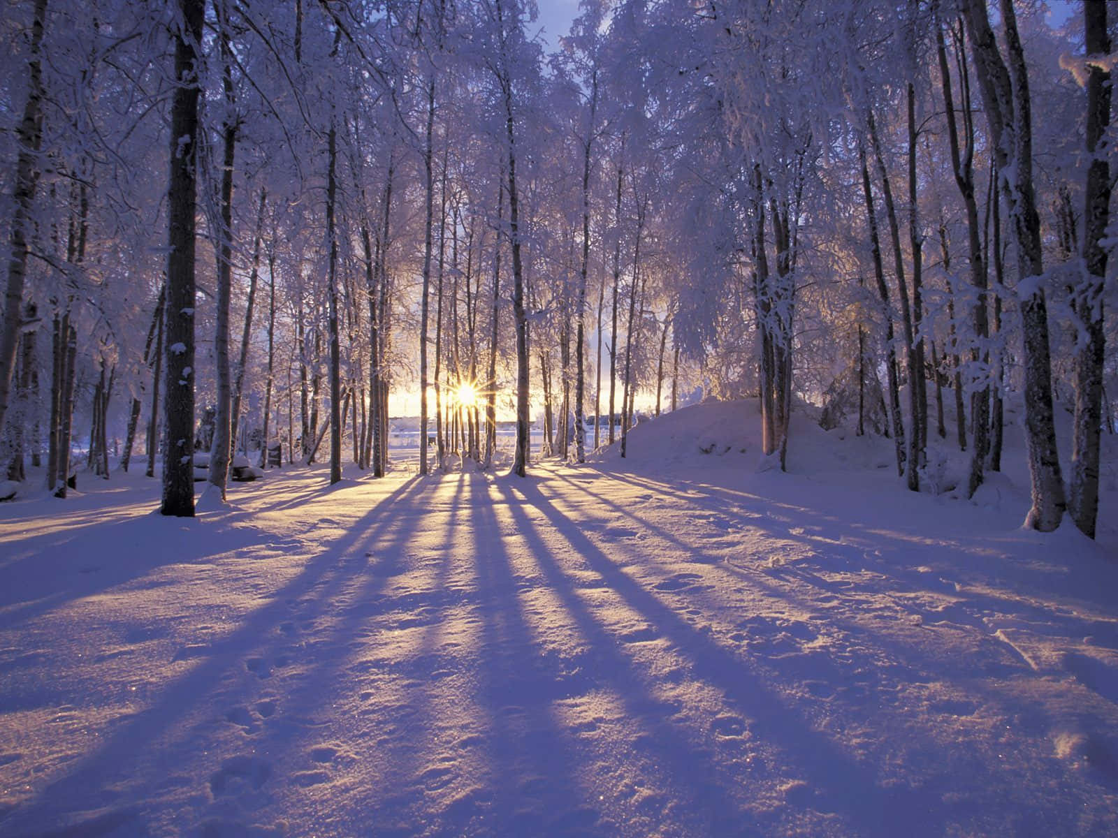 Winter Solstice Wallpaper