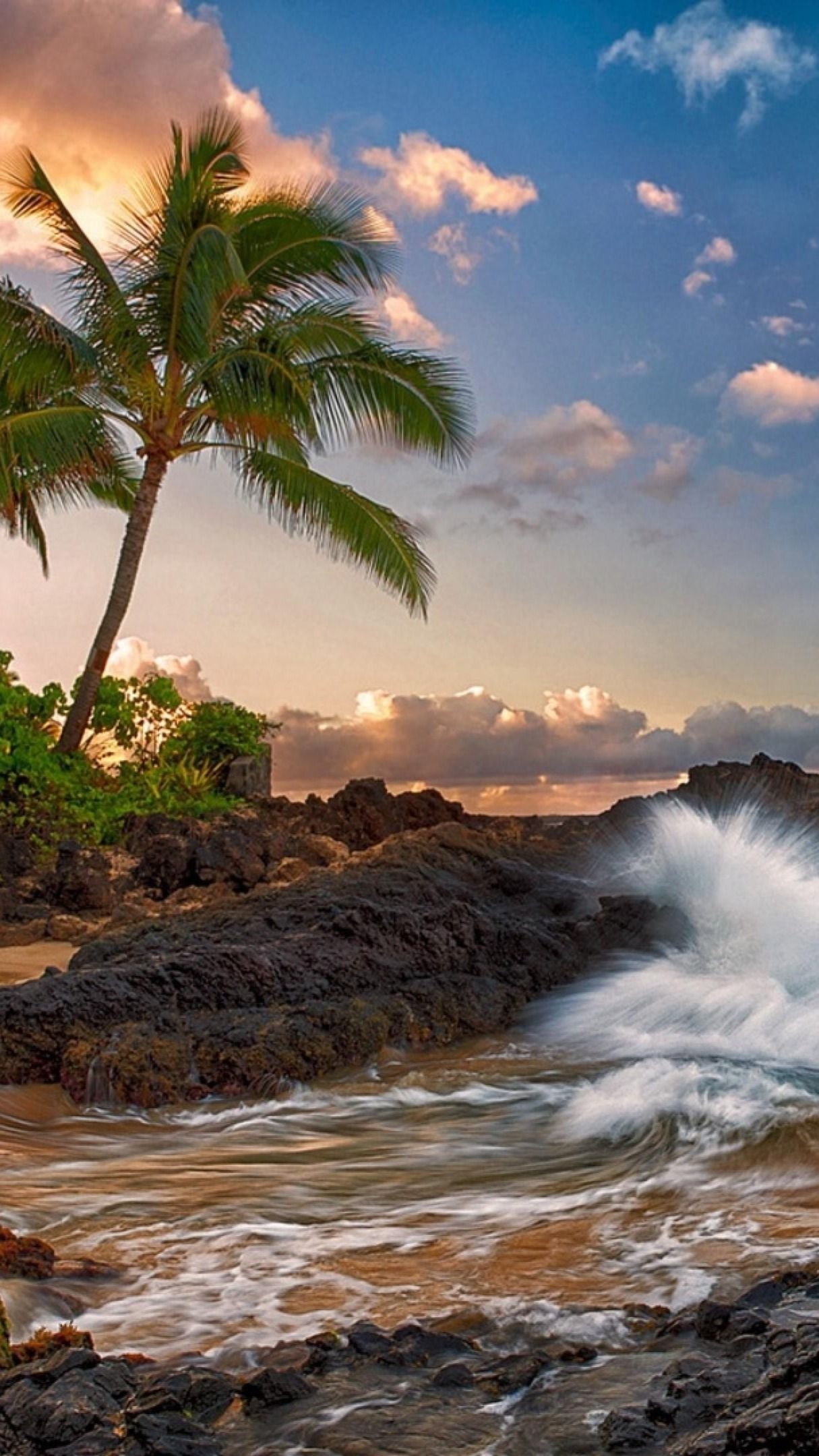 Coast Of Maui Wallpaper